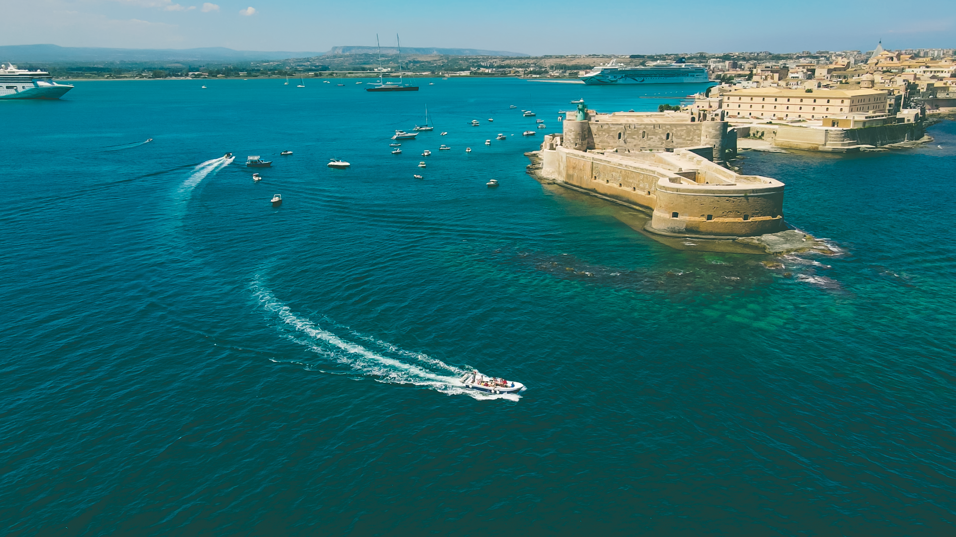 Dolphin Excursion and Rental