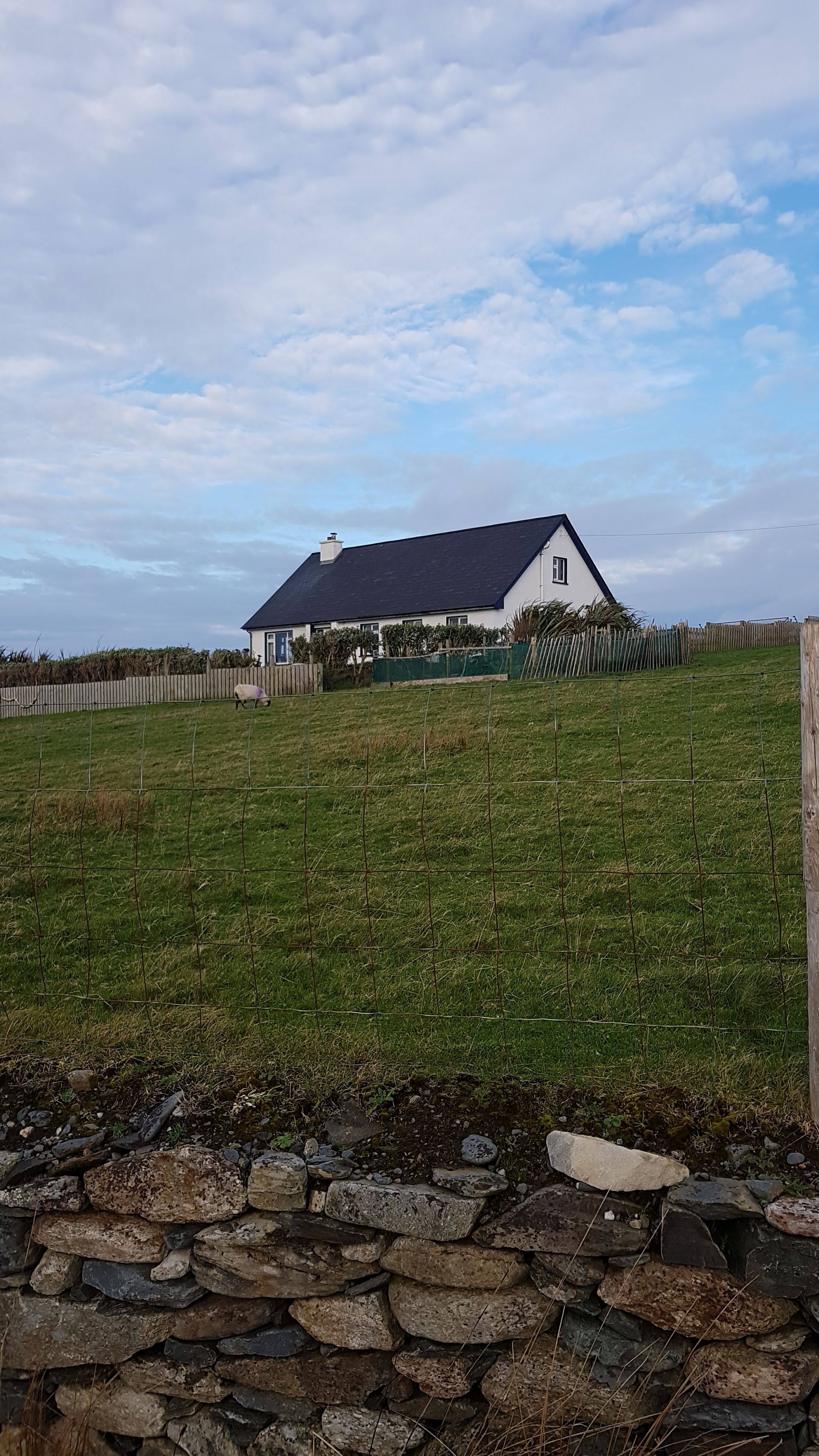 Lapwing House B&B