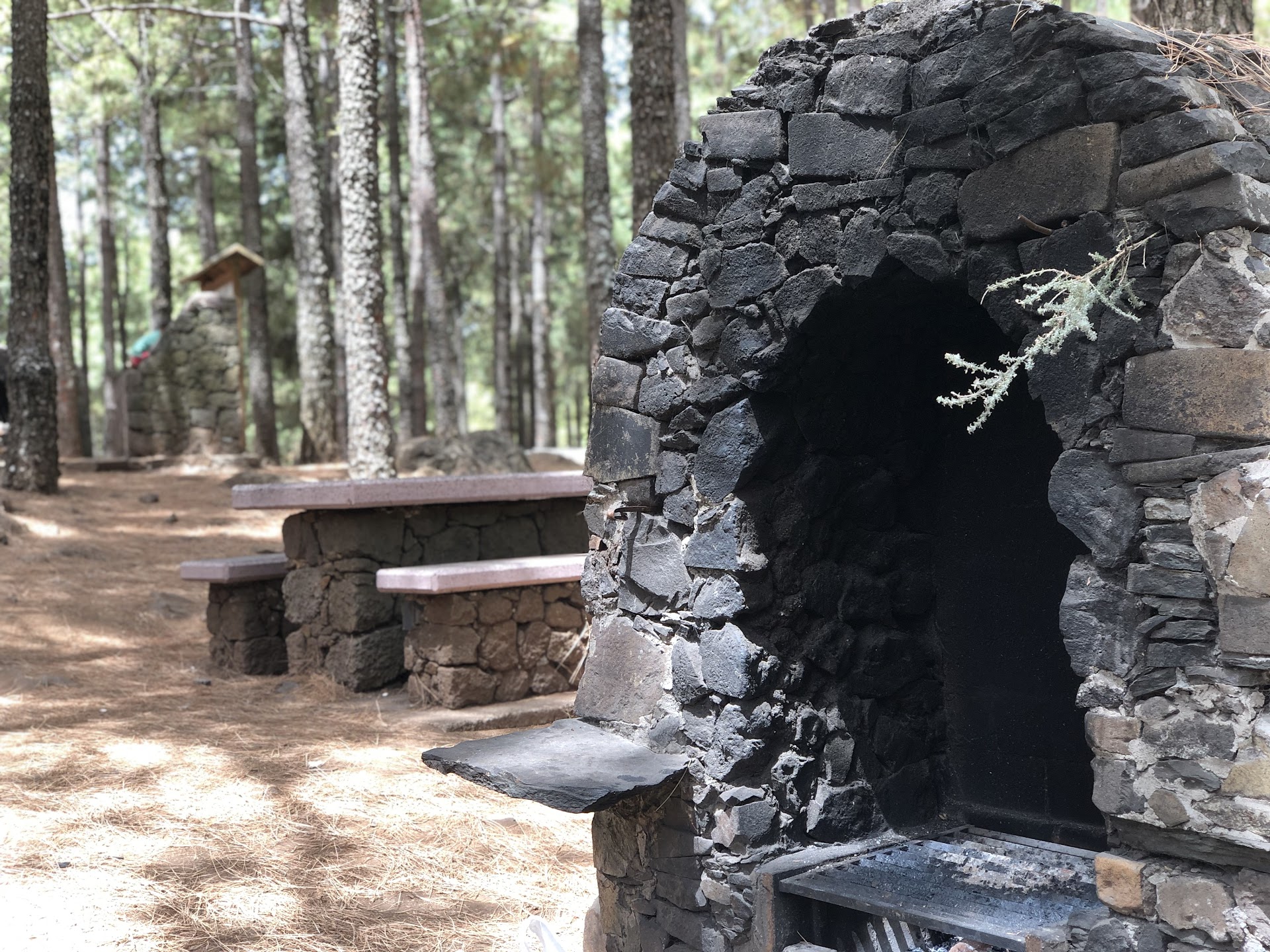 Zona de acampada Llanos de la Pez