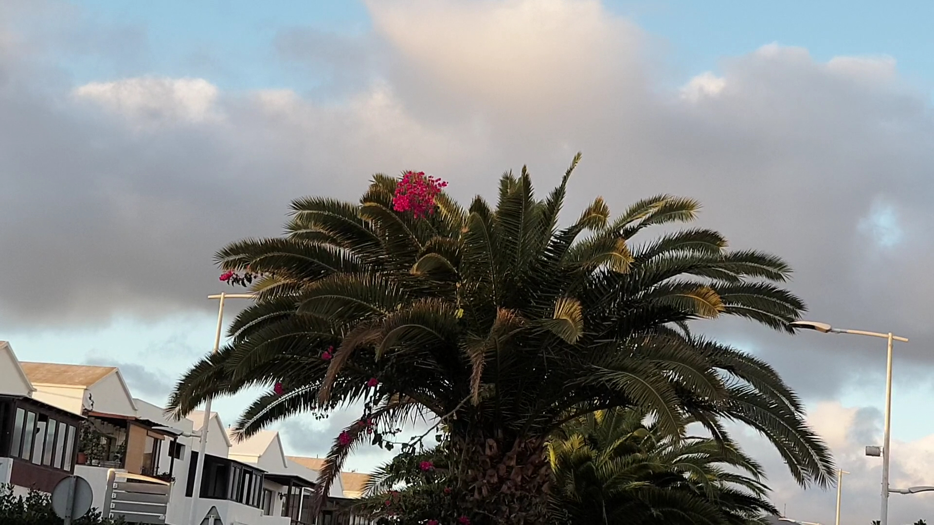 Lanzarote Coworking