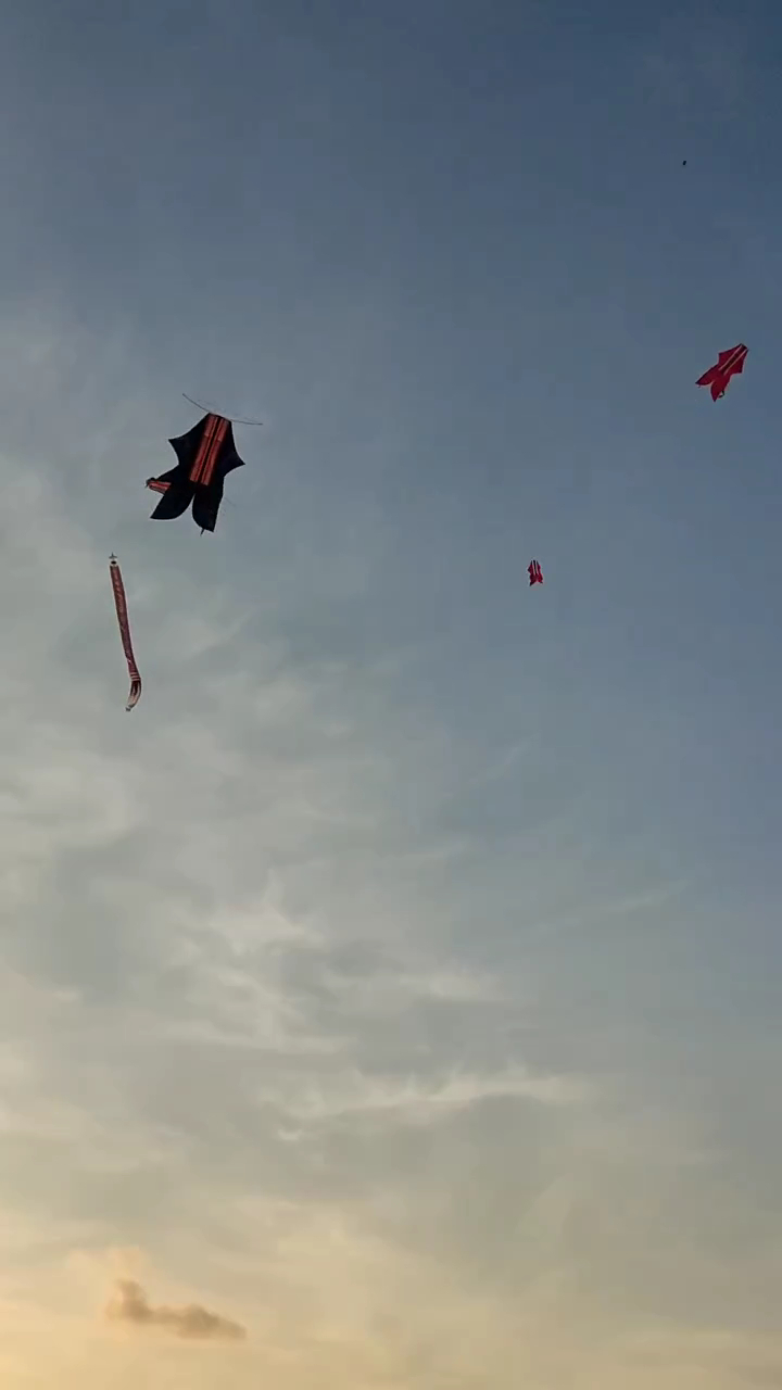 STDY KITE FESTIVAL #2