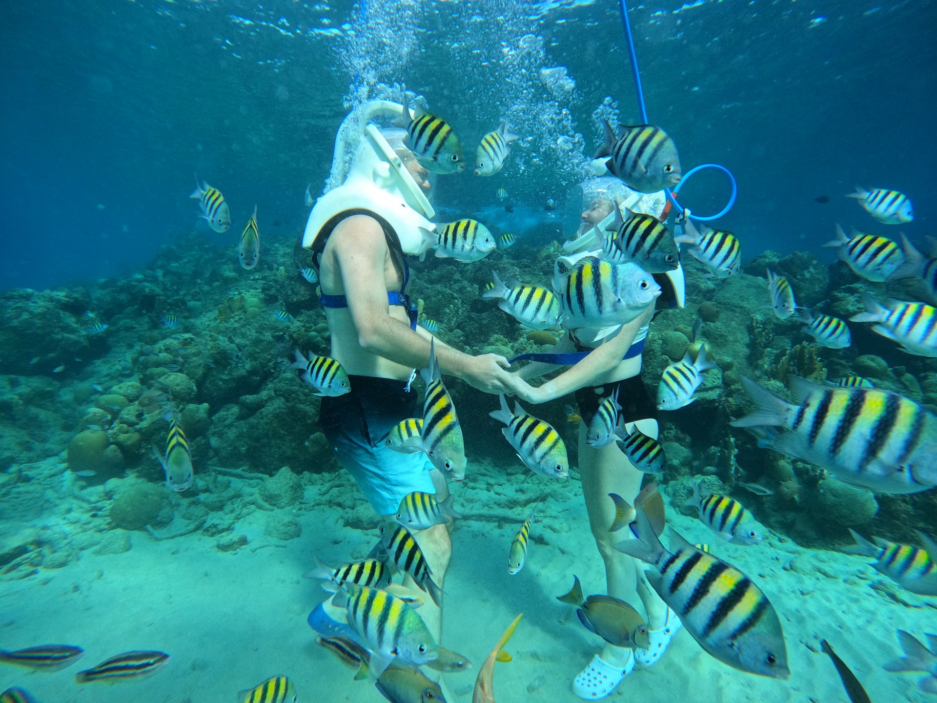 Sea Trek Curacao Underwater Walking Tour