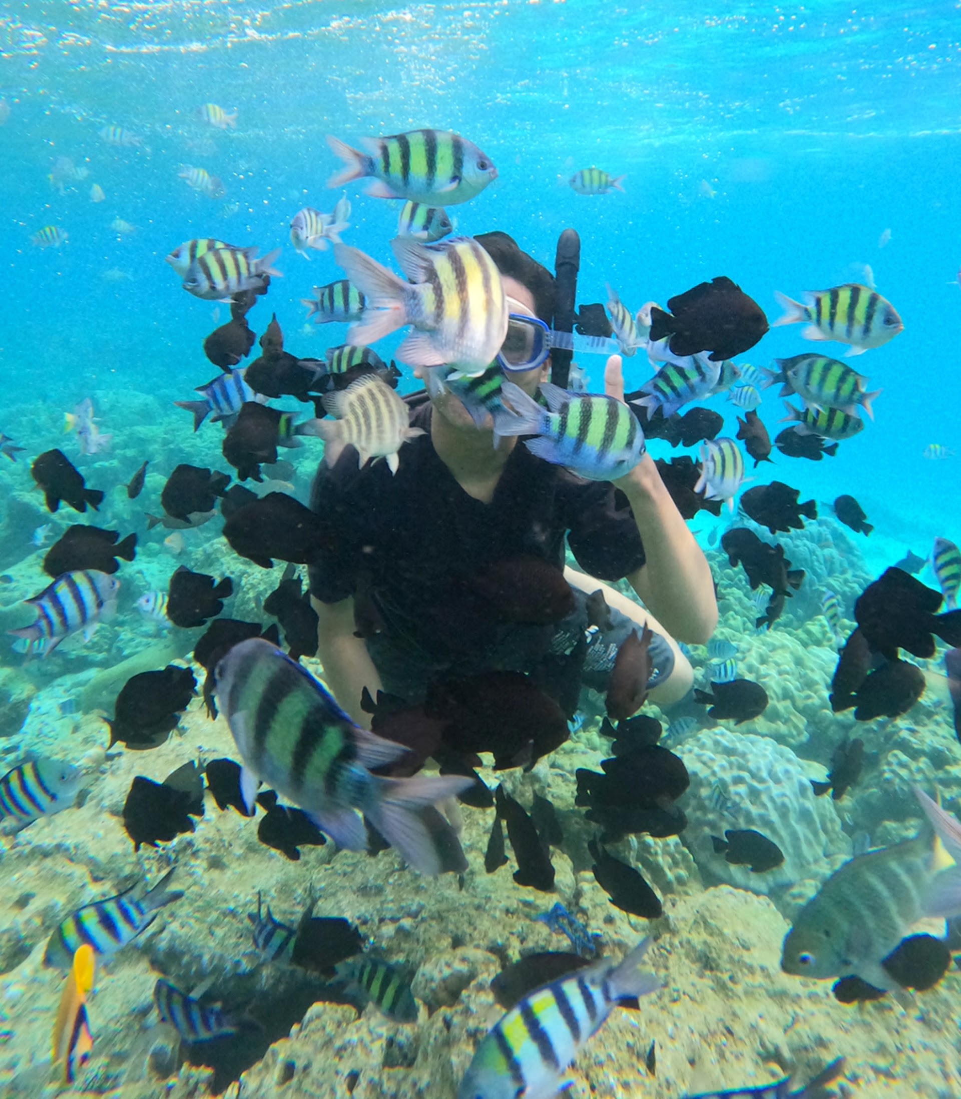Pulau Rubiah