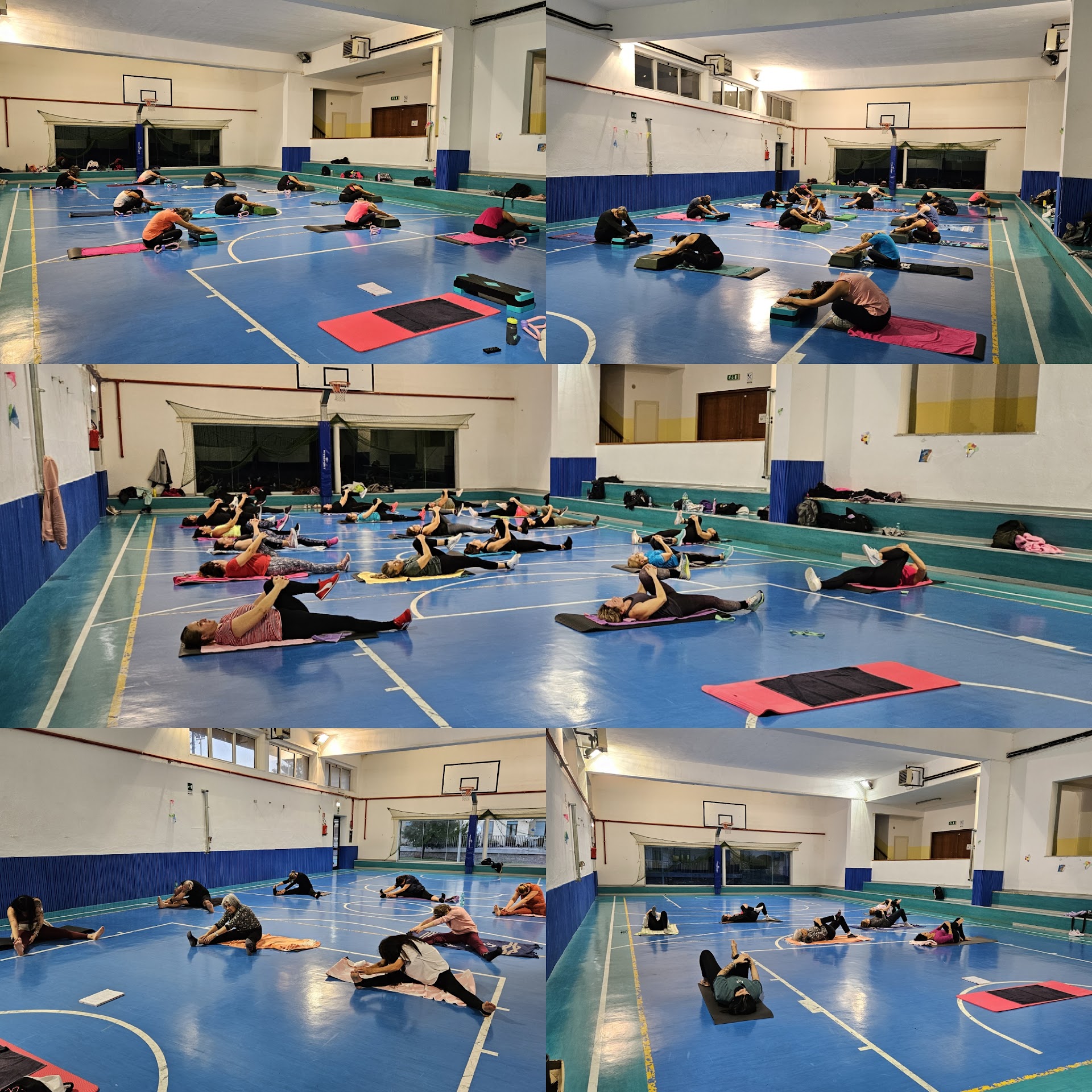 Wild fitness club