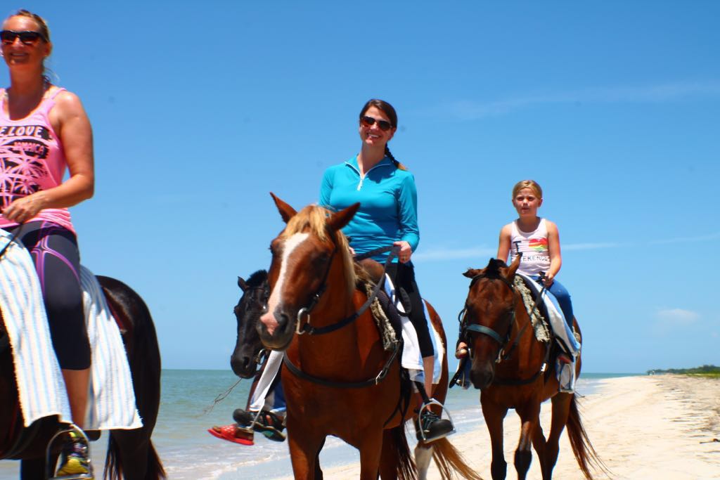 Reggae Horseback Riding & Tours