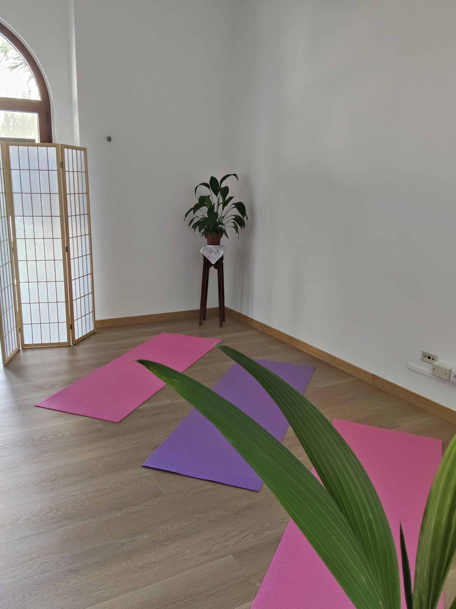 Wellness di Marzia Musolo Massaggi e Yoga