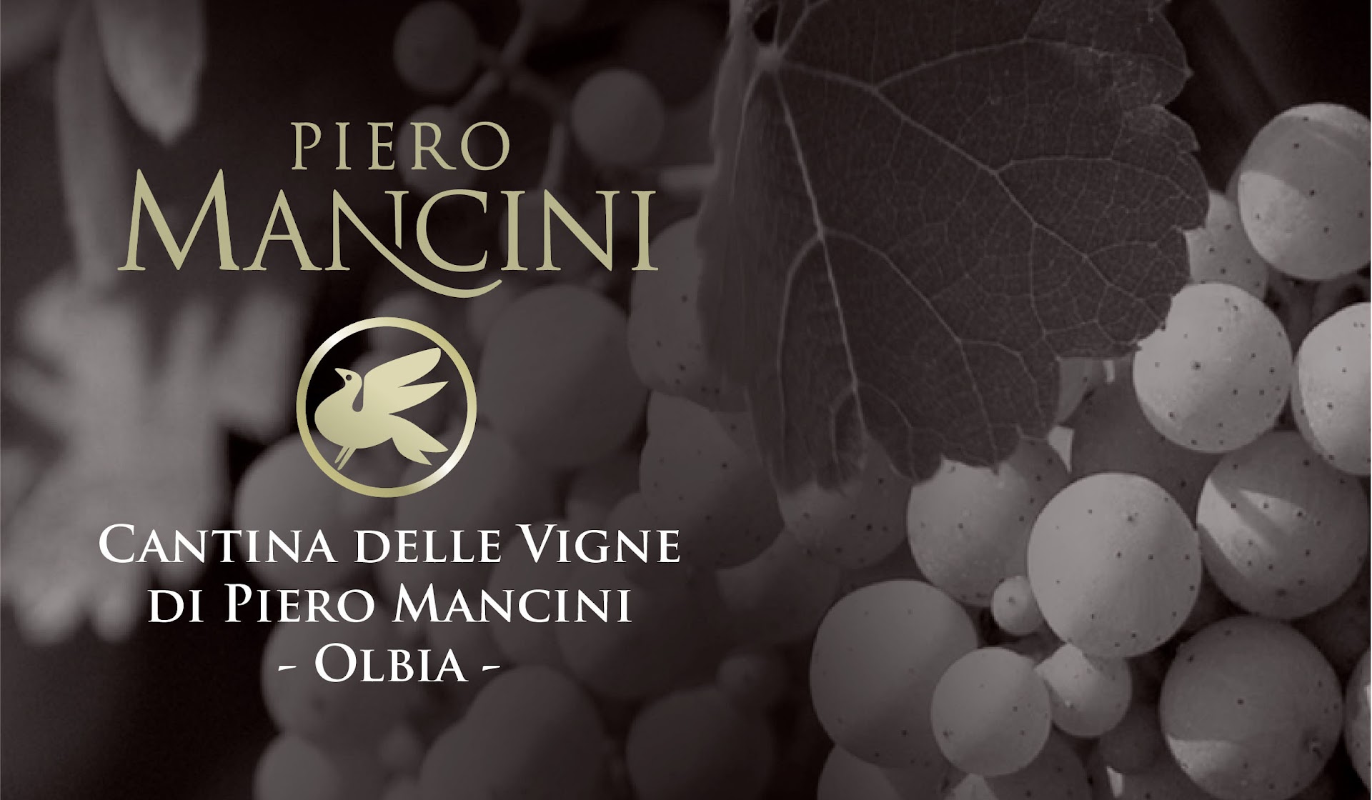 Cantina Delle Vigne Di Piero Mancini