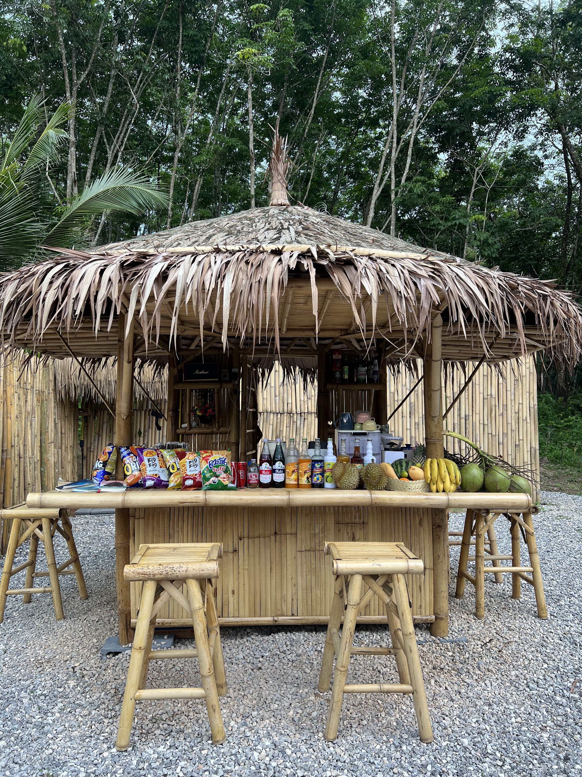 Wine Tasting in Pasai Beach