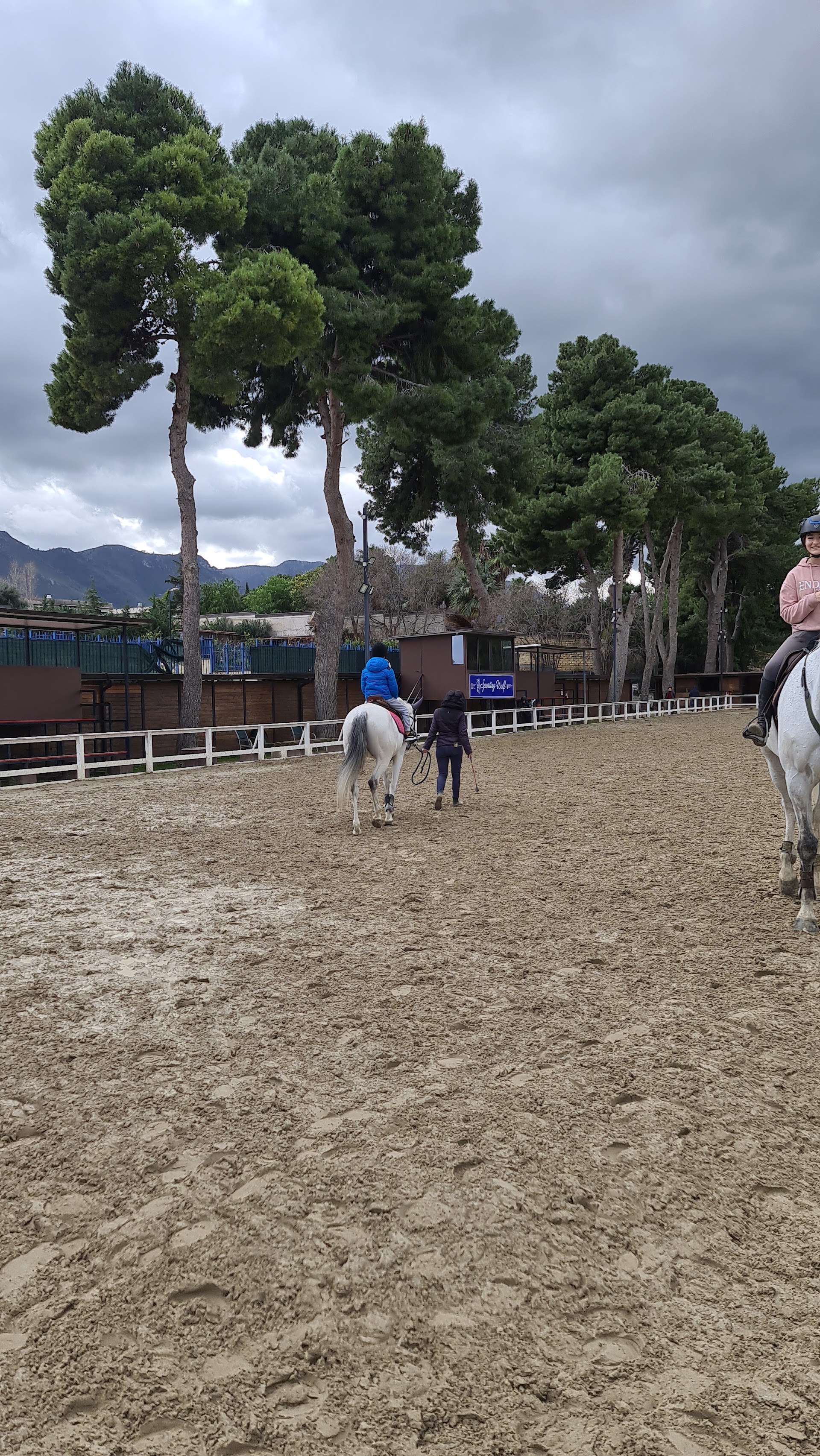 Ippoterapia a Palermo