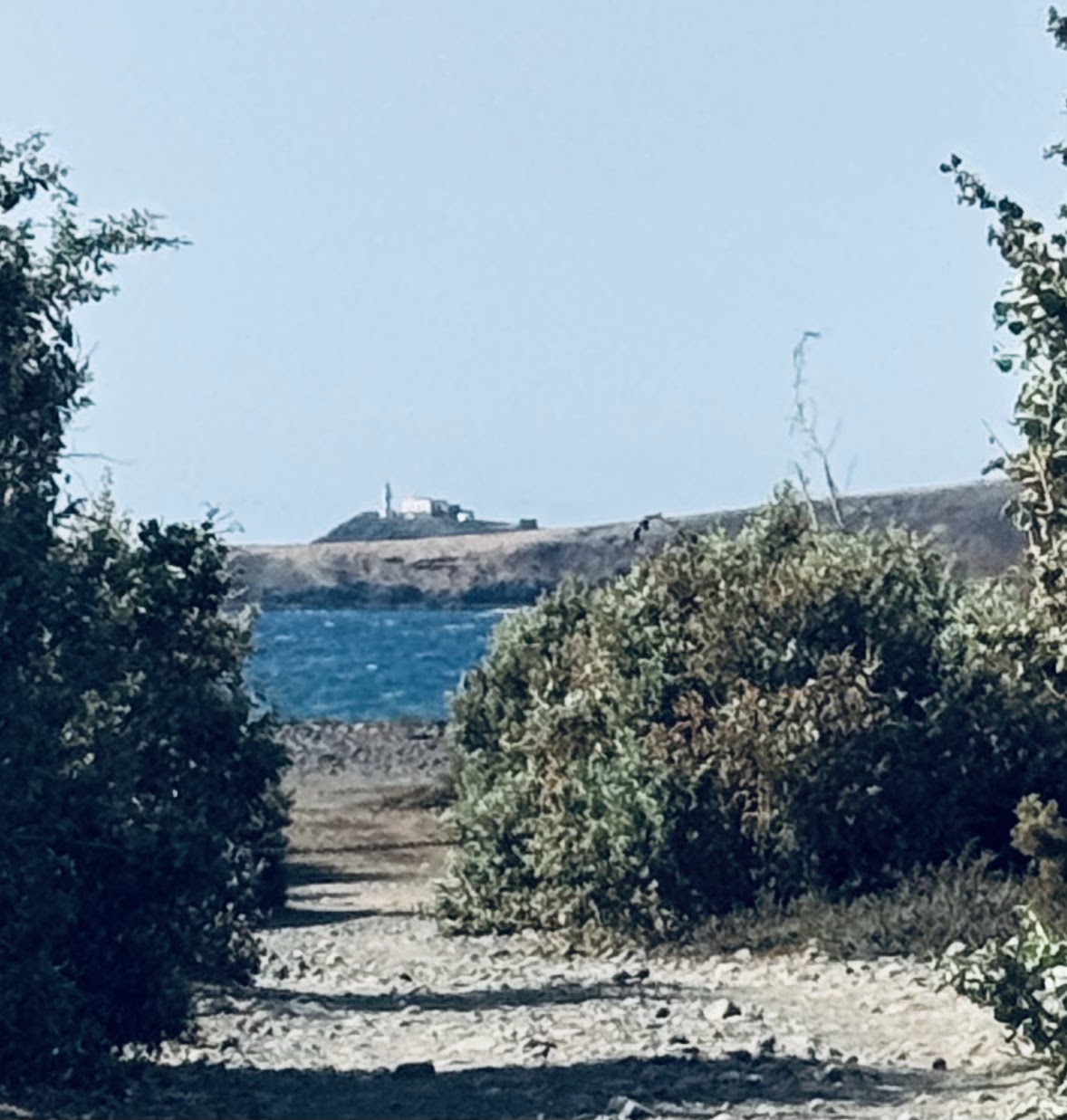 Camping de vargas