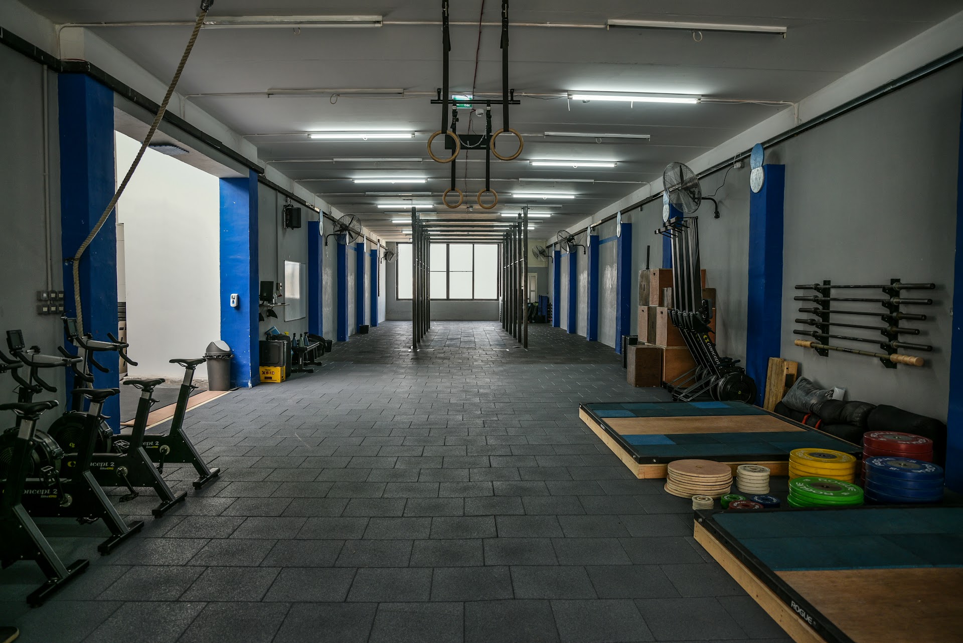 CrossFit 356