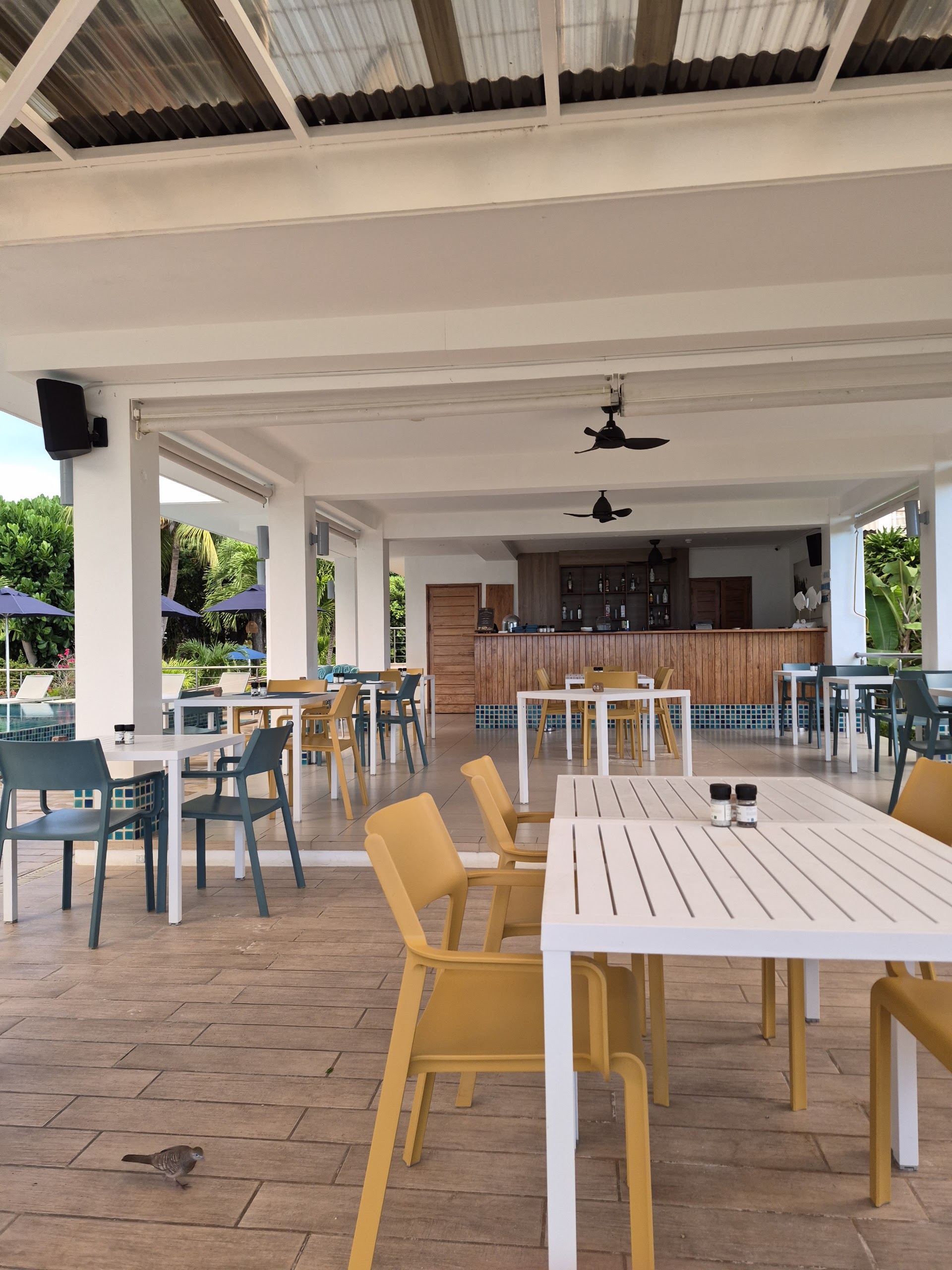 Starfish Bar & Restaurant