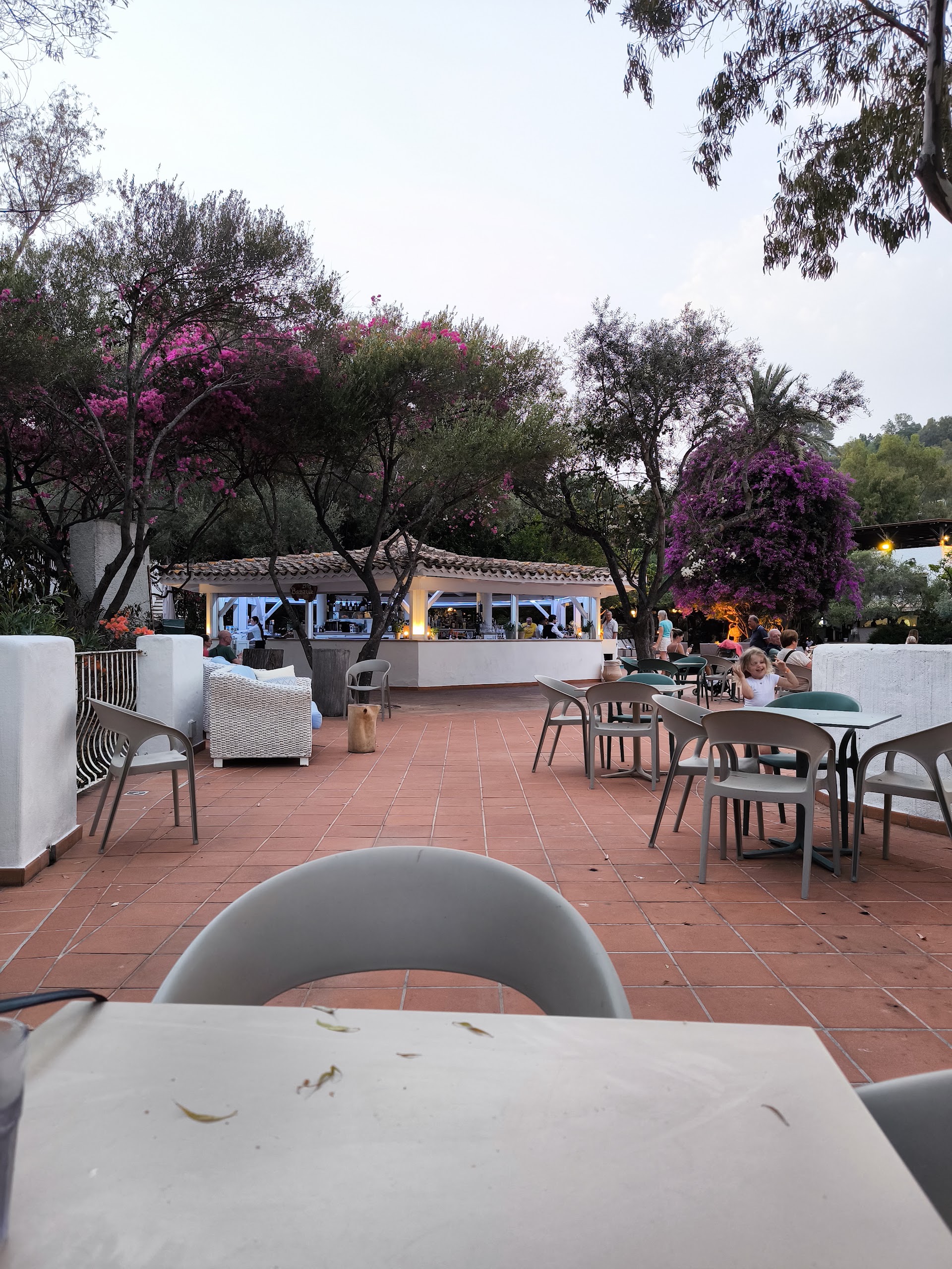 Bar Bougainvillea