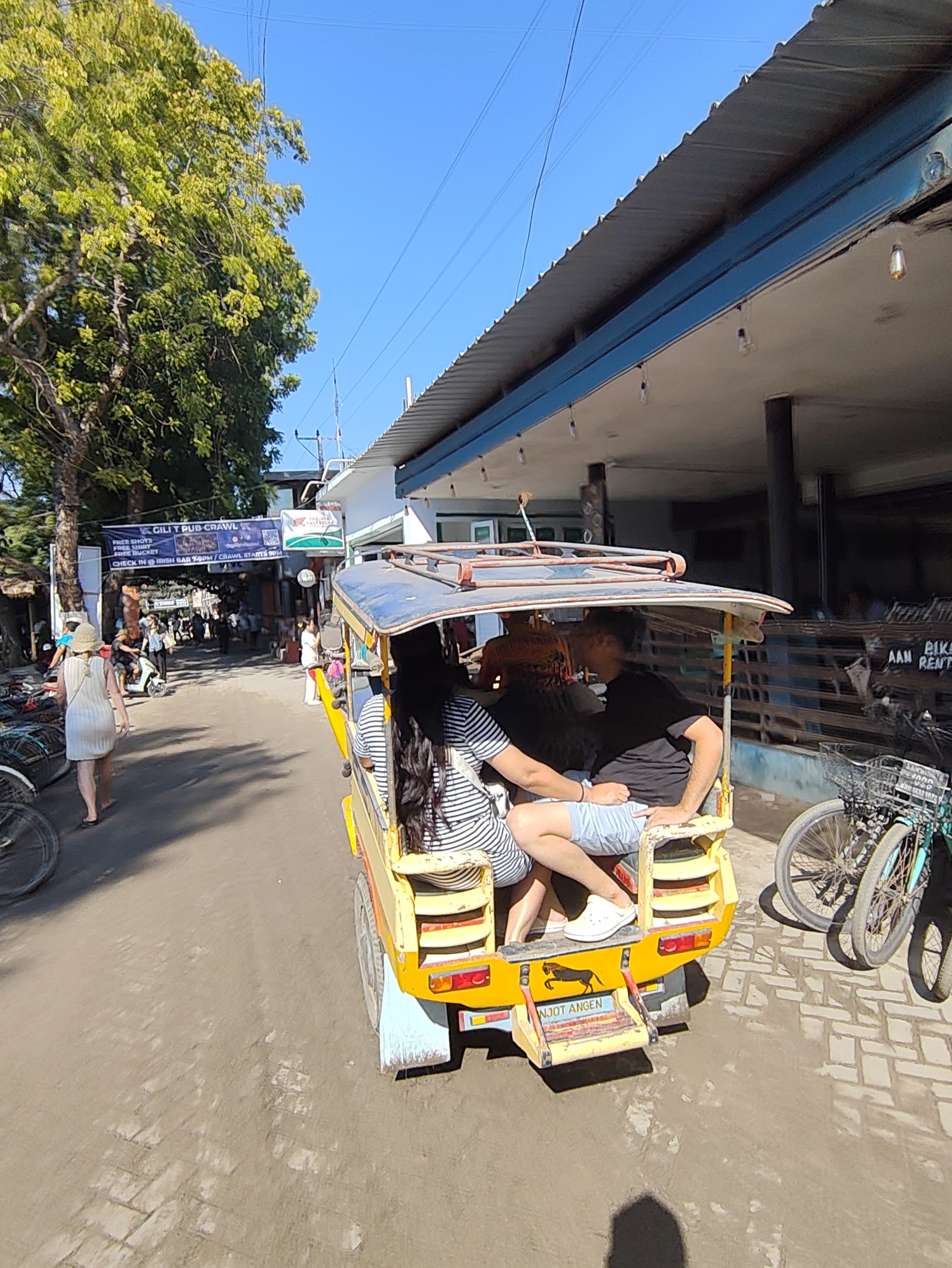 Taxi horse