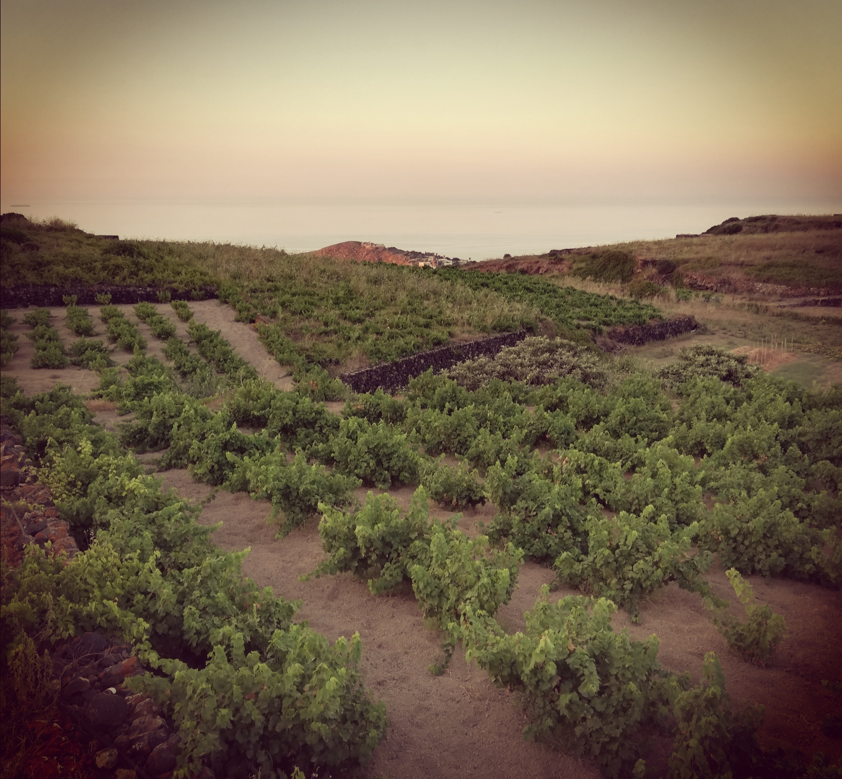 Winery