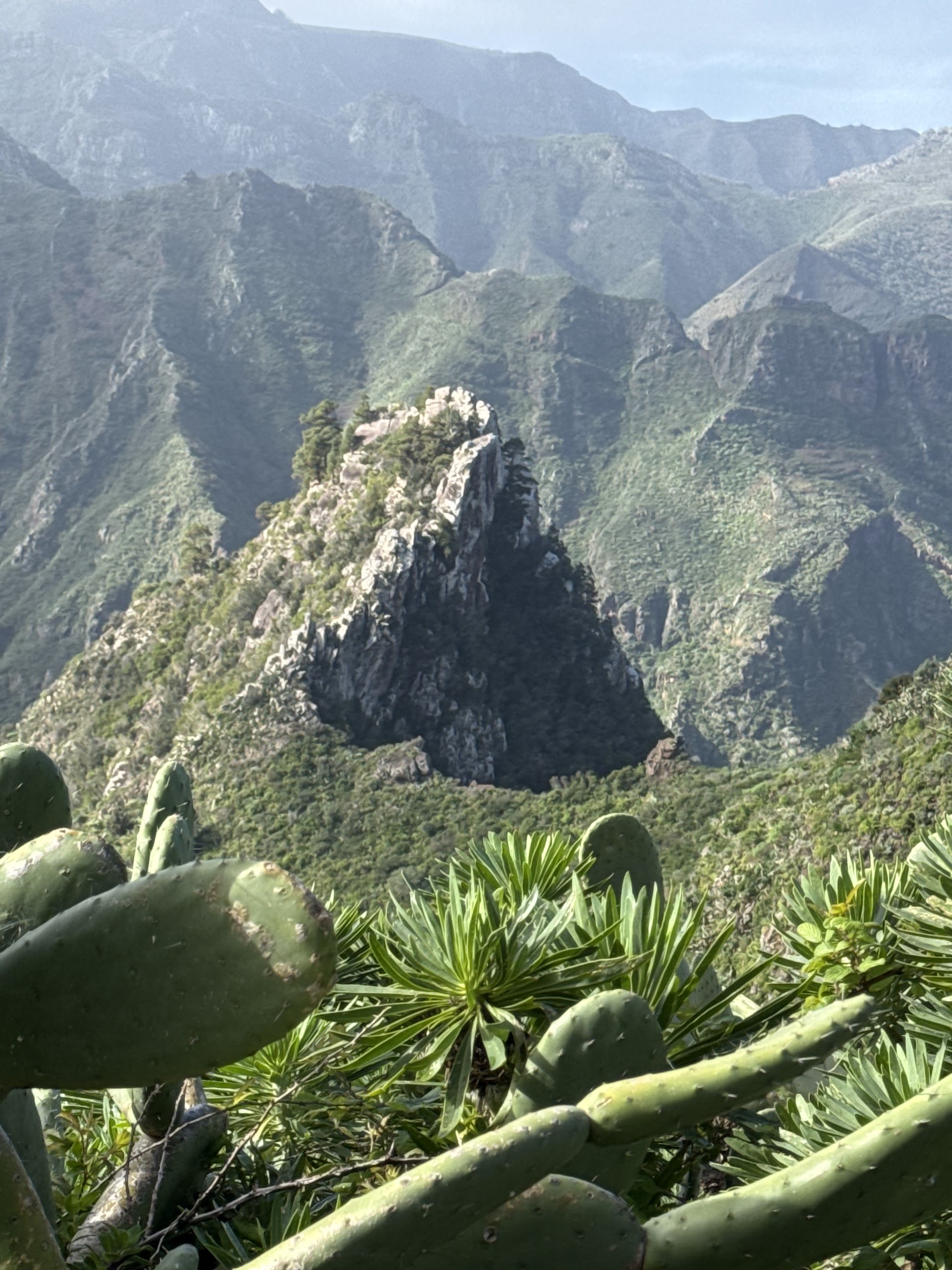 PR TF 10 Cruz del Carmen - Punta del Hidalgo