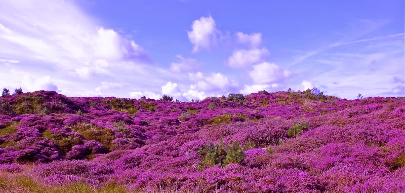 Creatief op Terschelling | schilderen & tekenen | Workshops | Cursus | Activiteiten