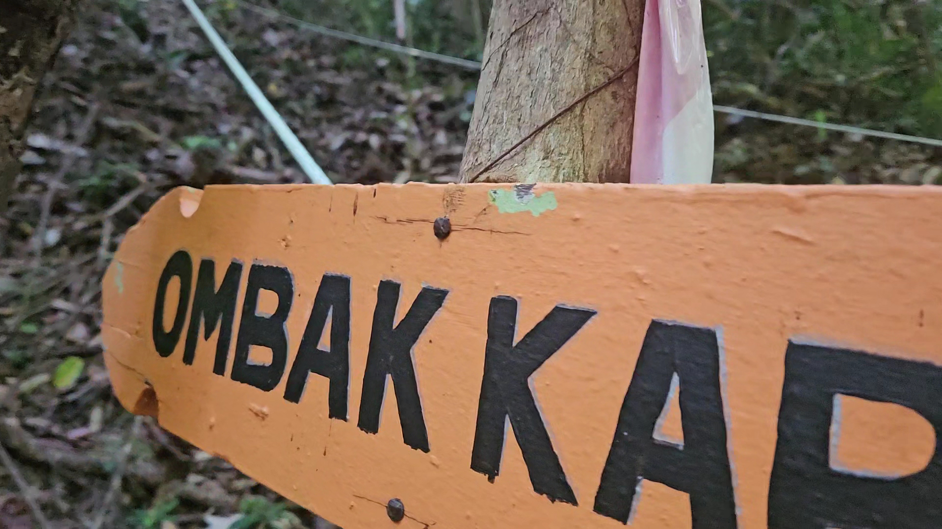 Hiking Tours in Kapas Island