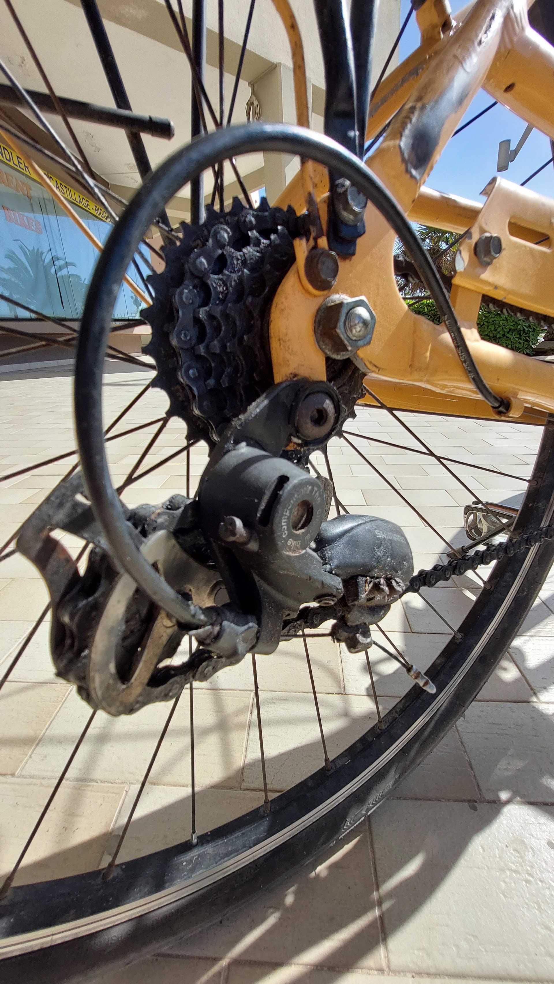 Ondablu Alghero, accessori per la nautica, meteo, Servizio Rigging, noleggio bici