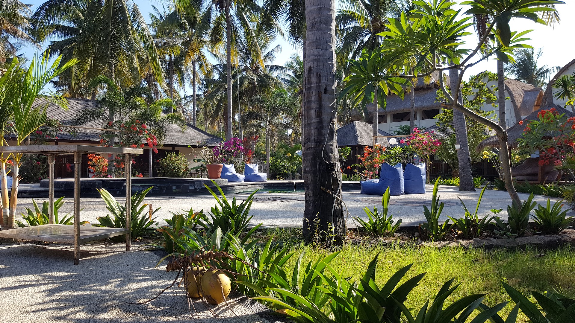 Trawangan Oasis