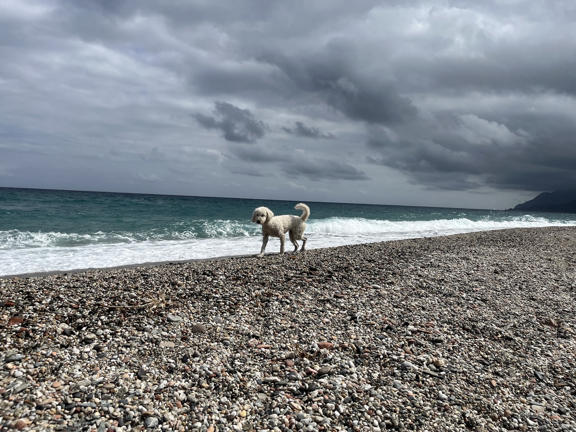 Bau Beach Planargia - Spiaggia per cani