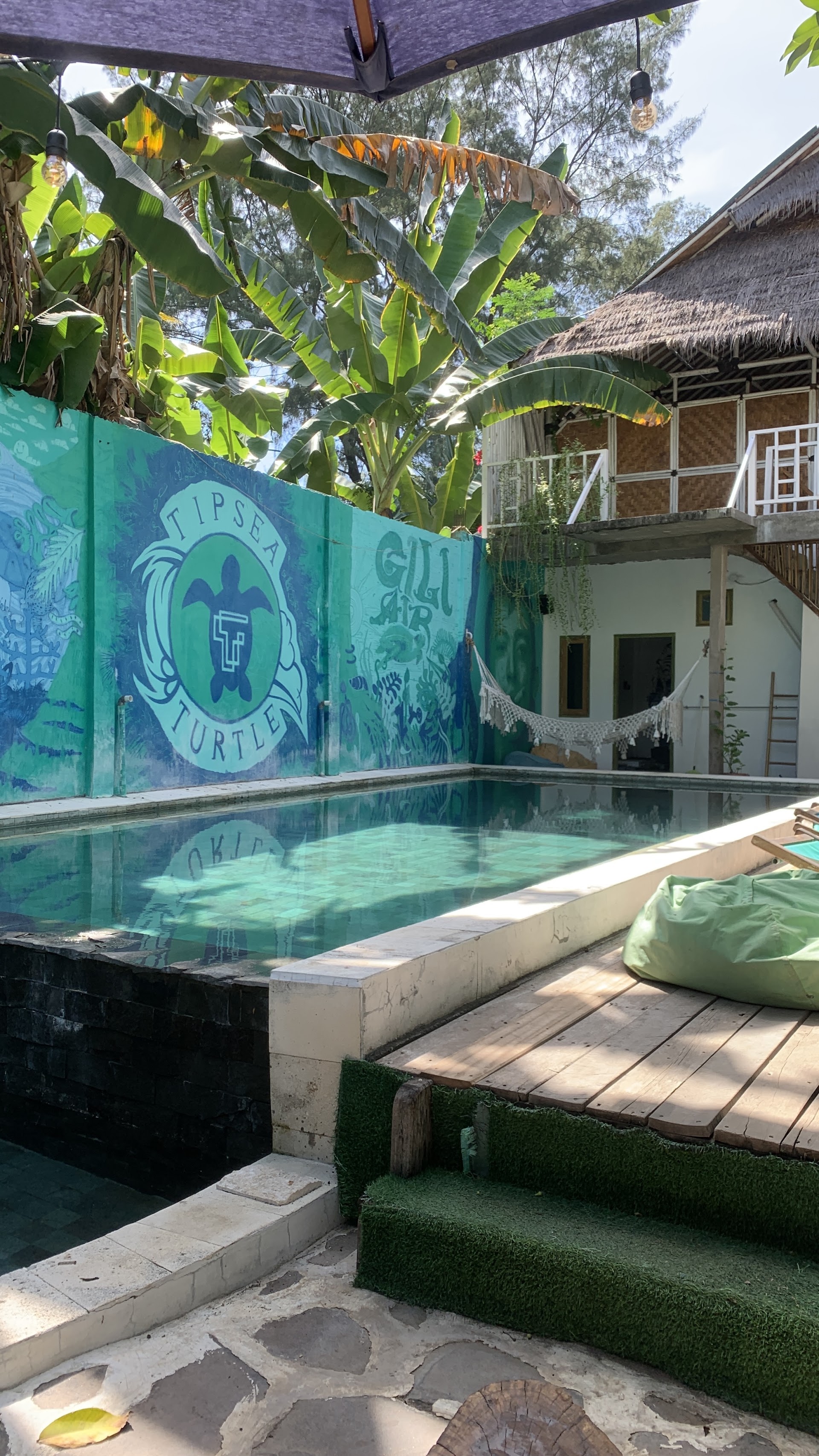 Tipsea Turtle Gili Air