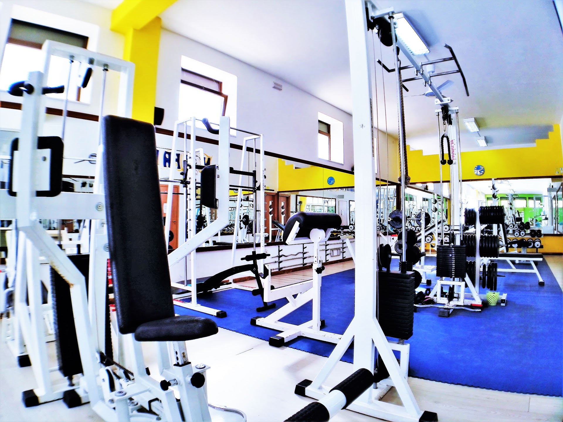 Gym Natural Energy