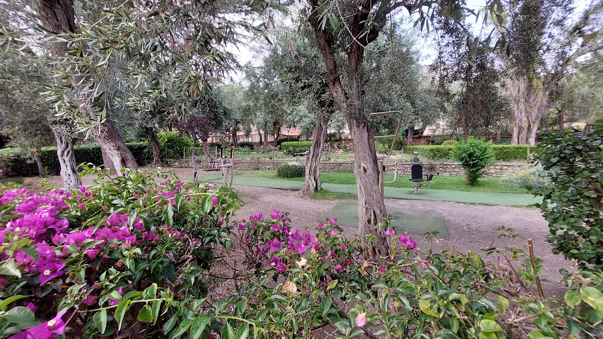 Garden gym