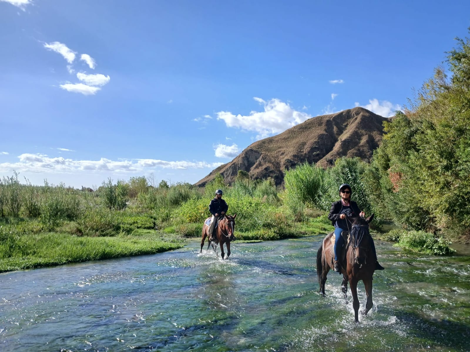 Sunshine Adventure Horses Power