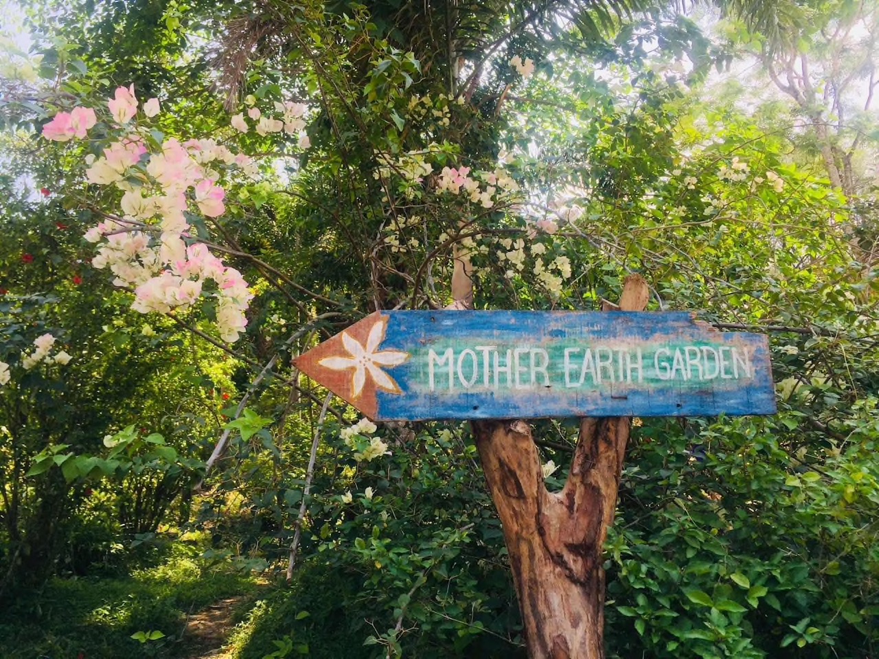 Mother Earth Garden