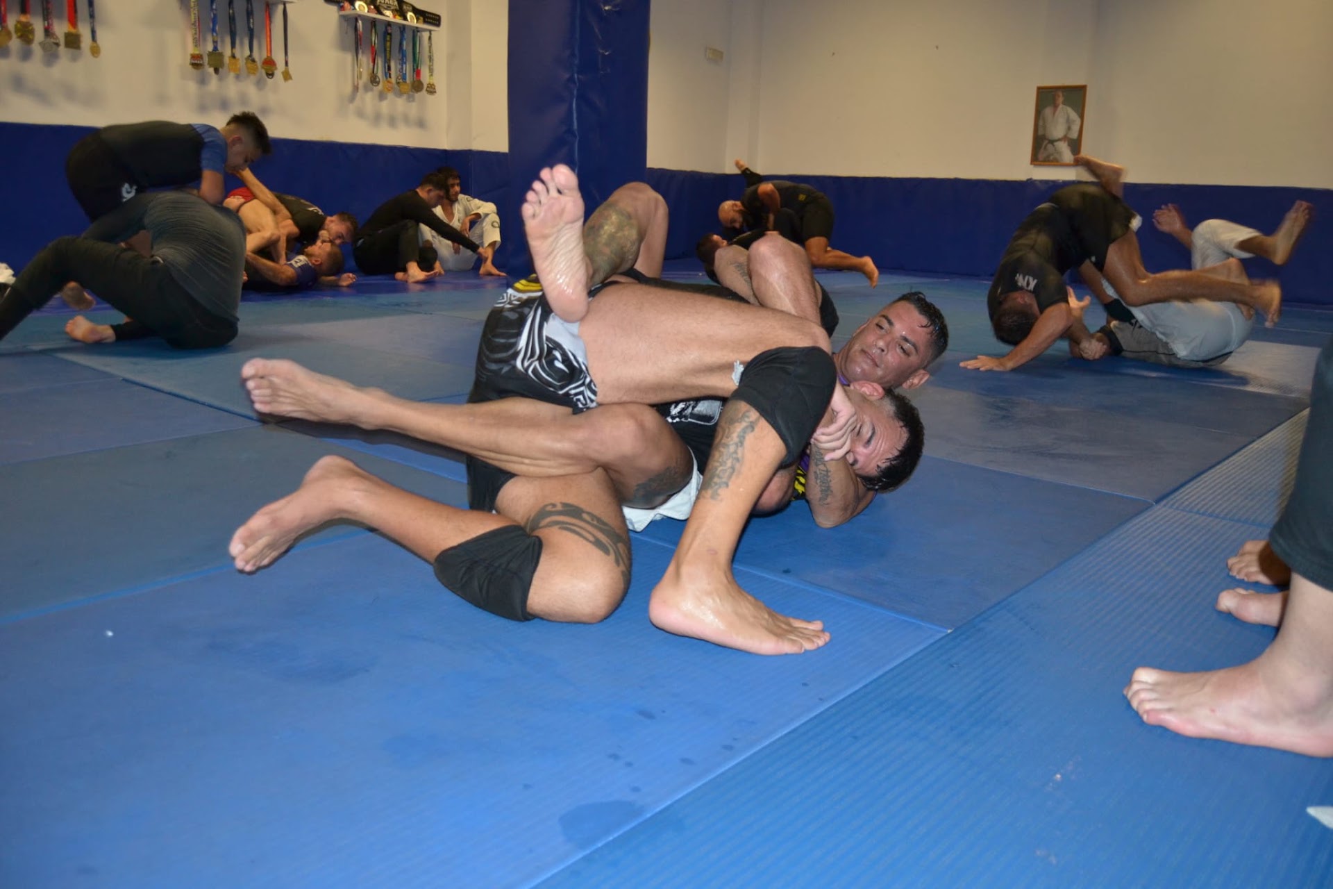 La Zona Bjj