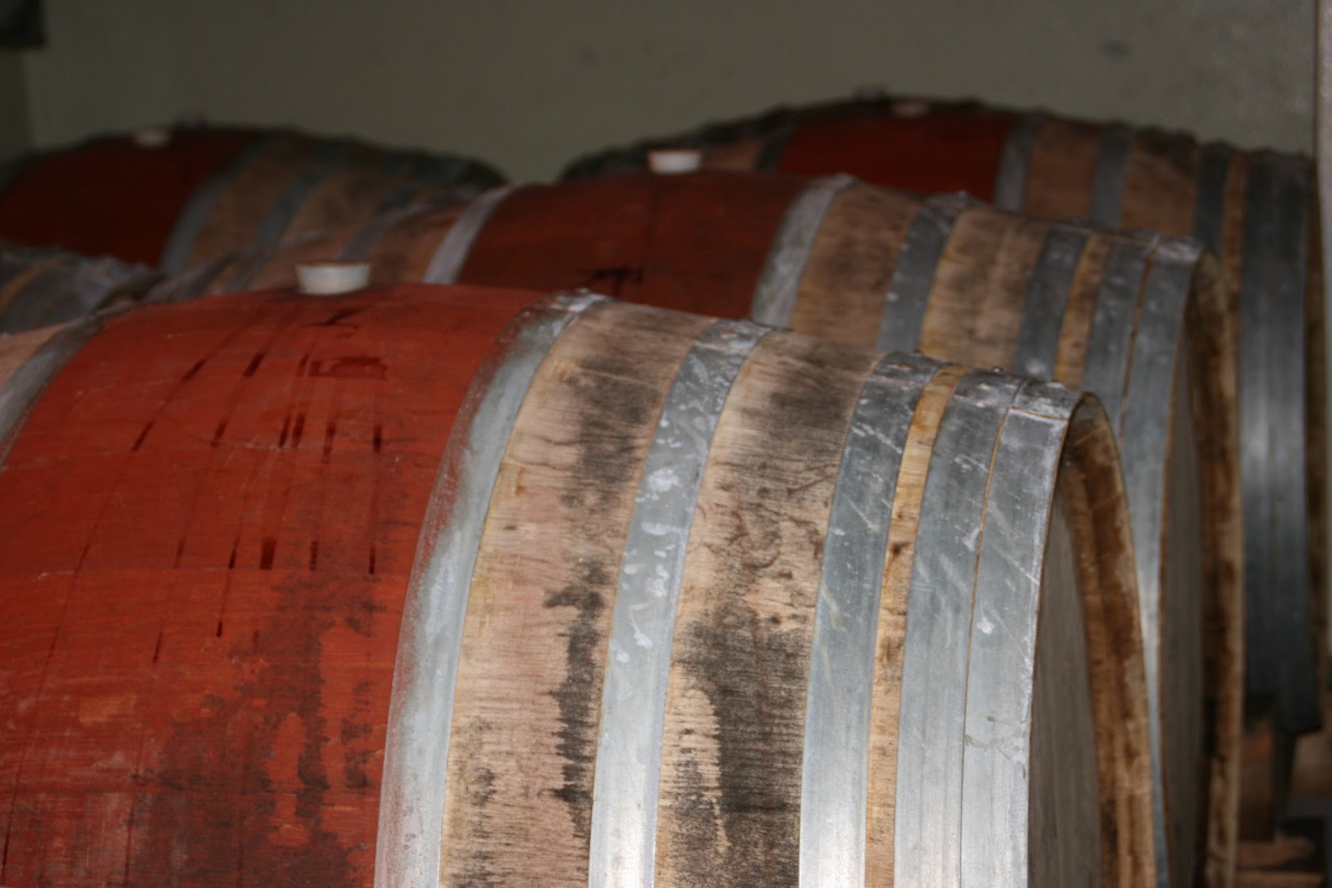 Cantina Mulleri