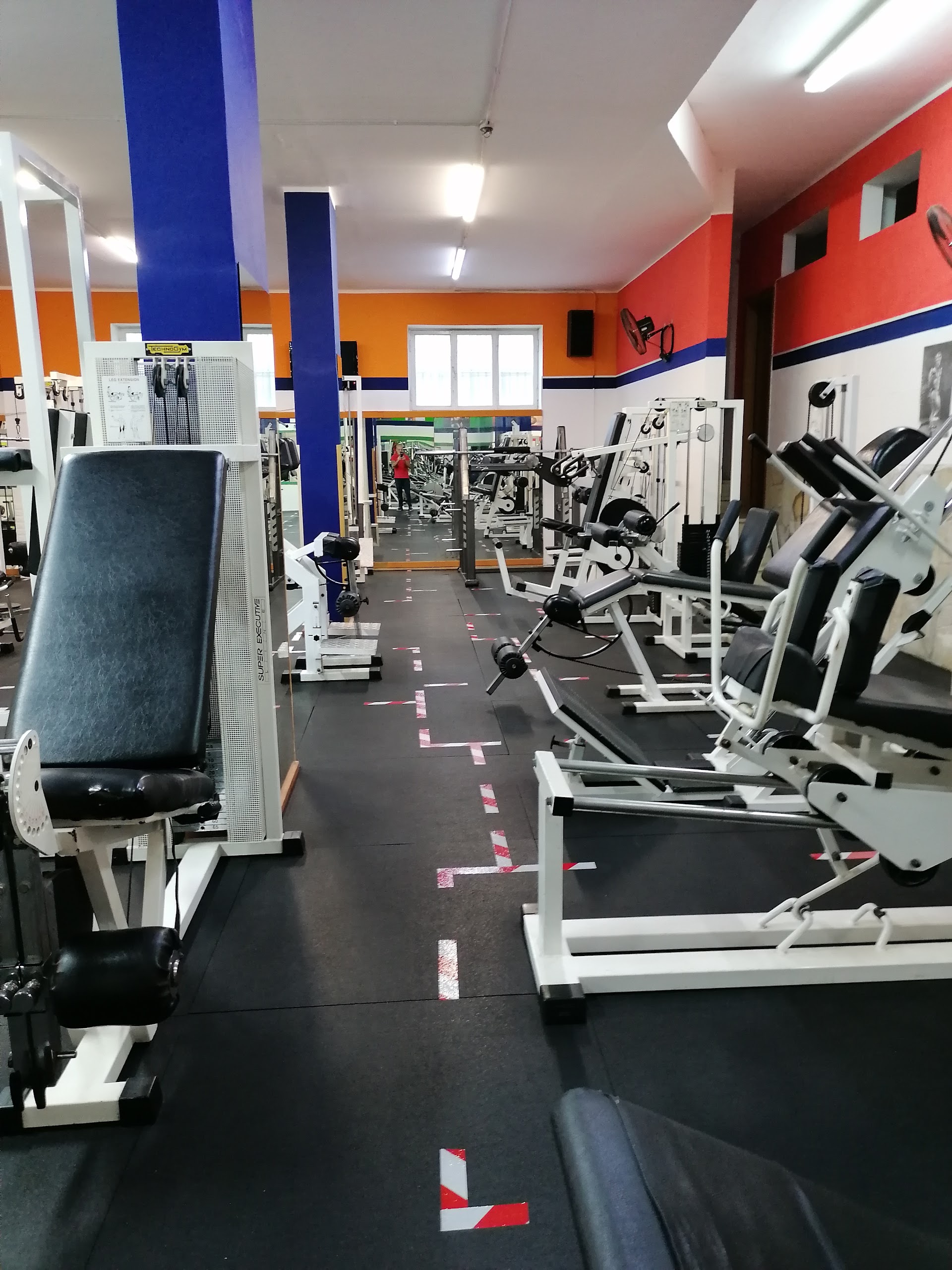 Palestra Level
