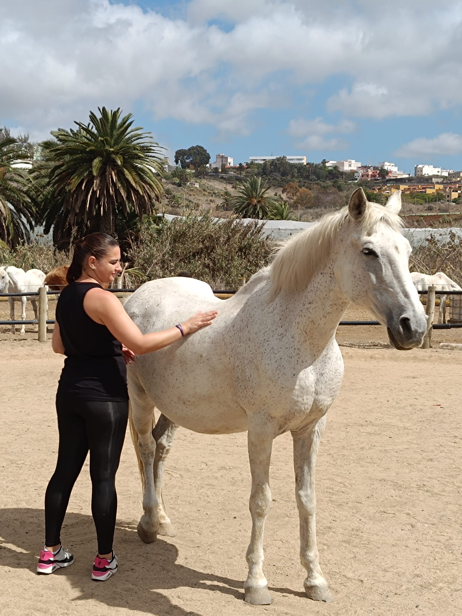 Tierra de Caballos