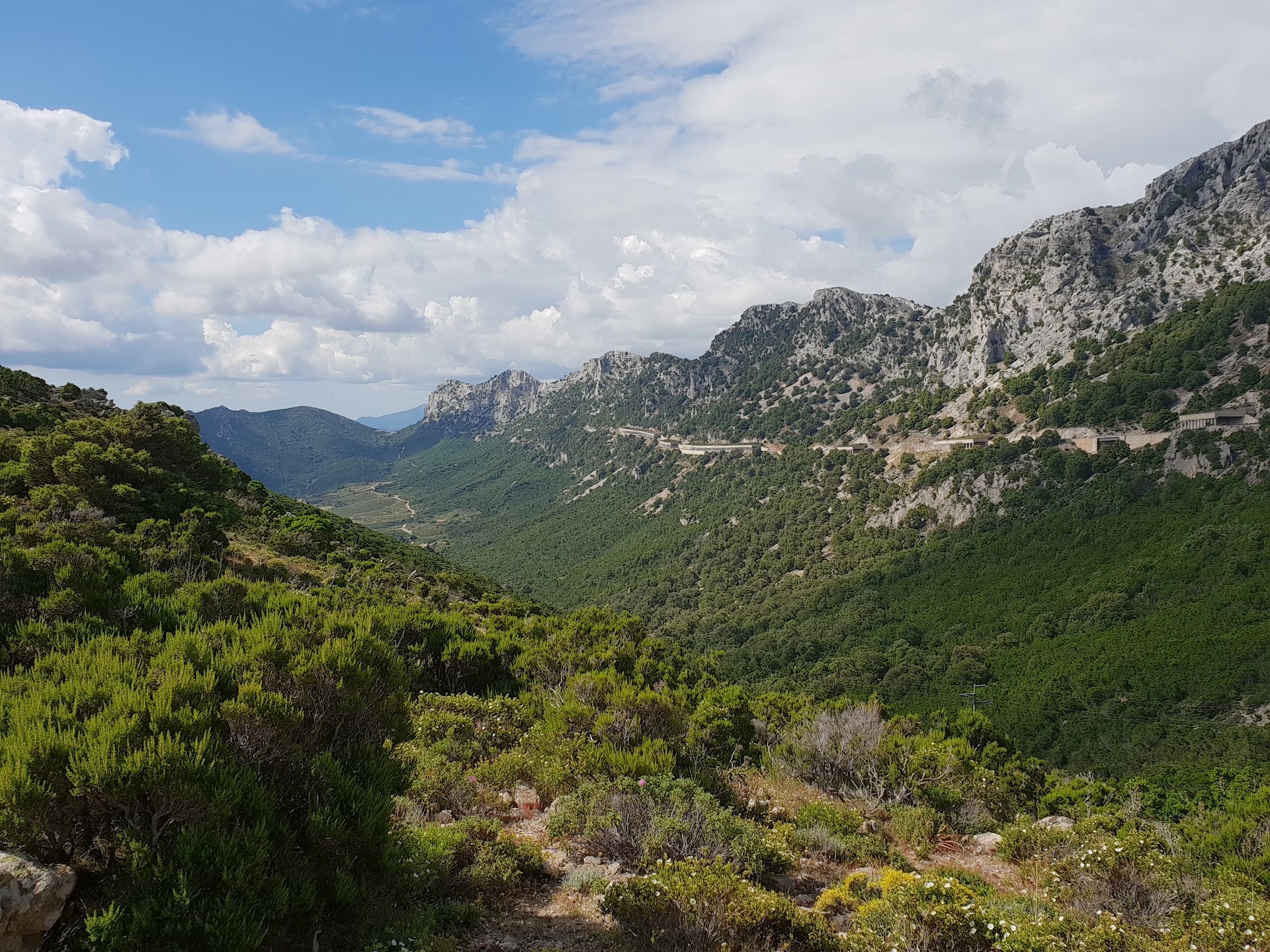 Supramonte di Urzulei