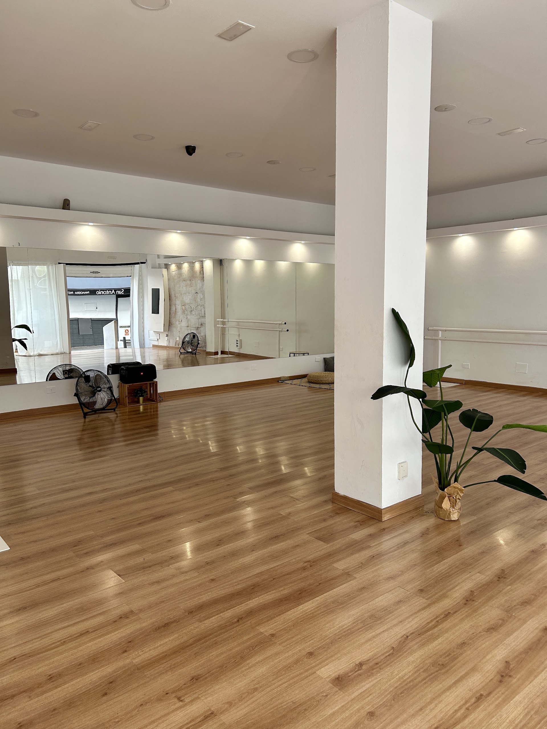 Estudio de Danza Hayati