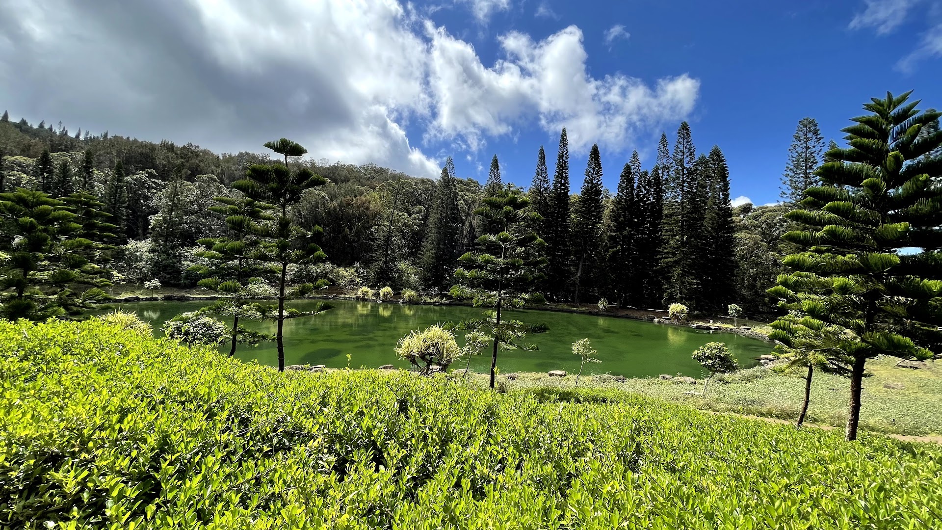 Koele Golf Course