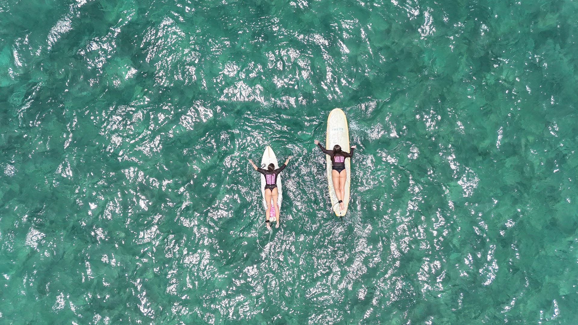 Easy life Surfing club & surf store