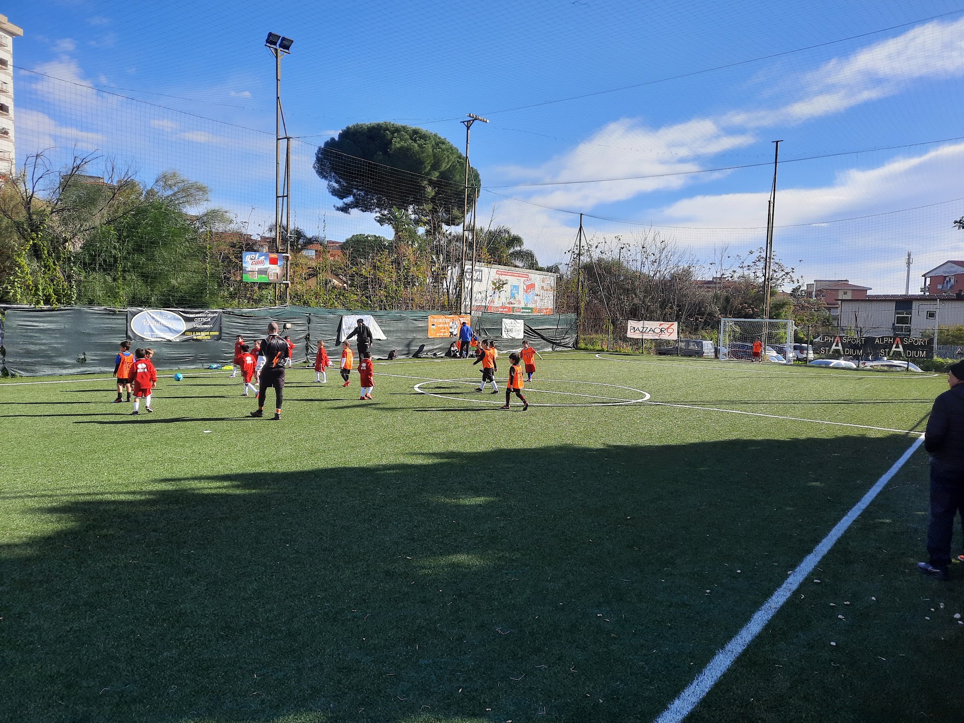 SCUOLA CALCIO ALPHA SPORT