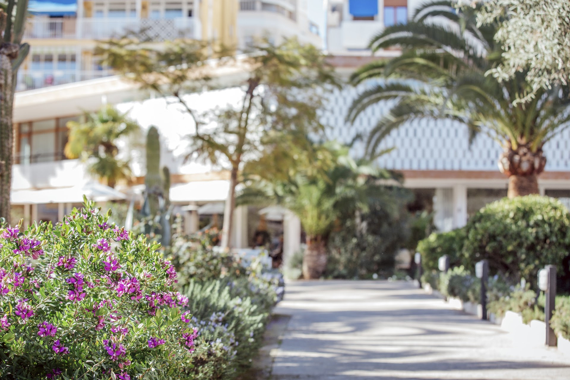 Palma Sport & Tennis Club