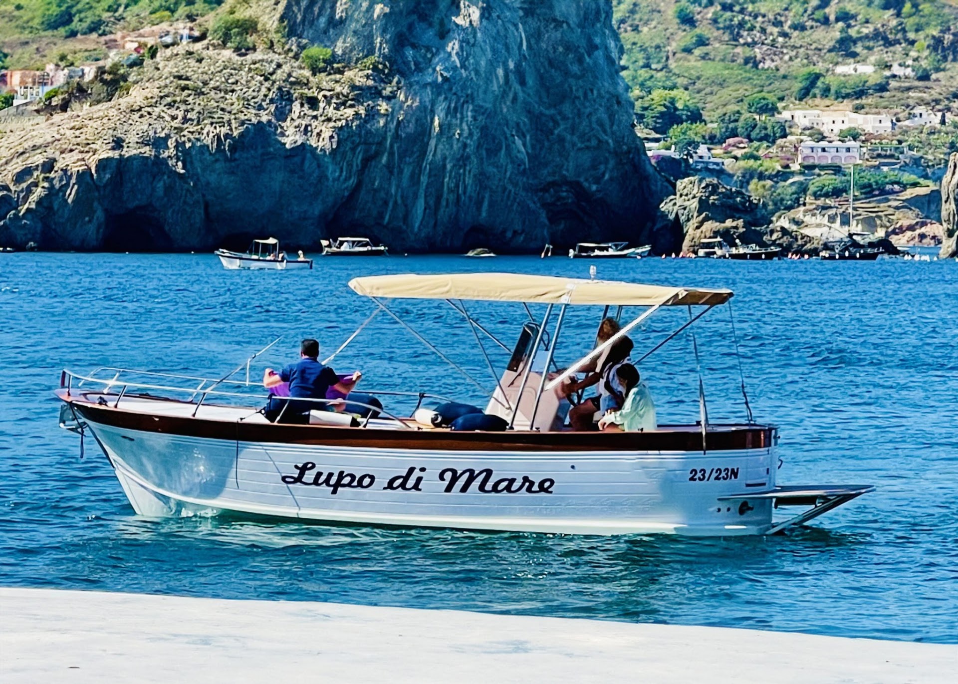 -Ponza of catfish