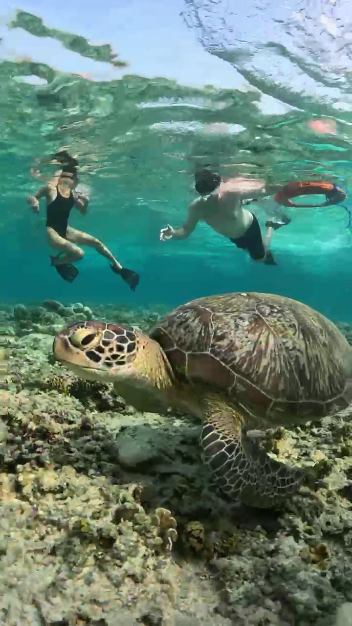 Snorkeling Adventure