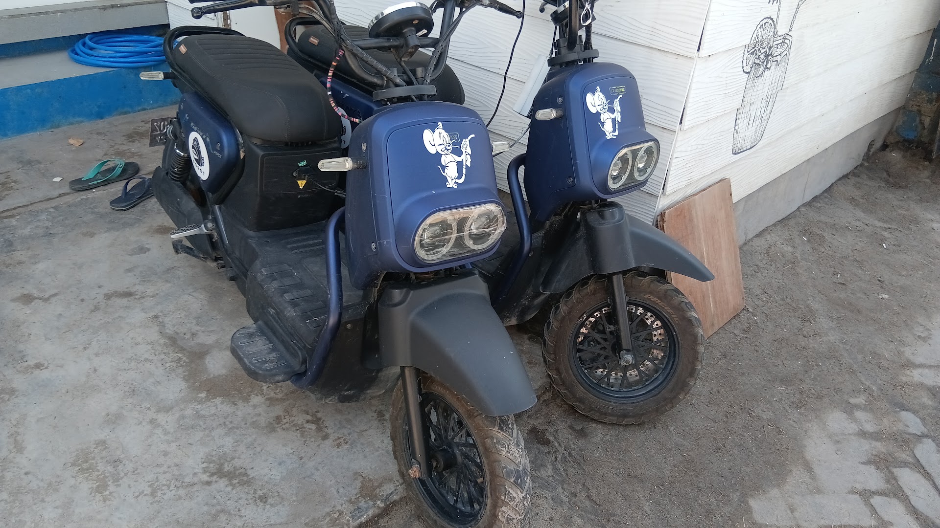 Tourist information and rental electrik bike