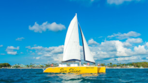 Unique Tours Jamaica
