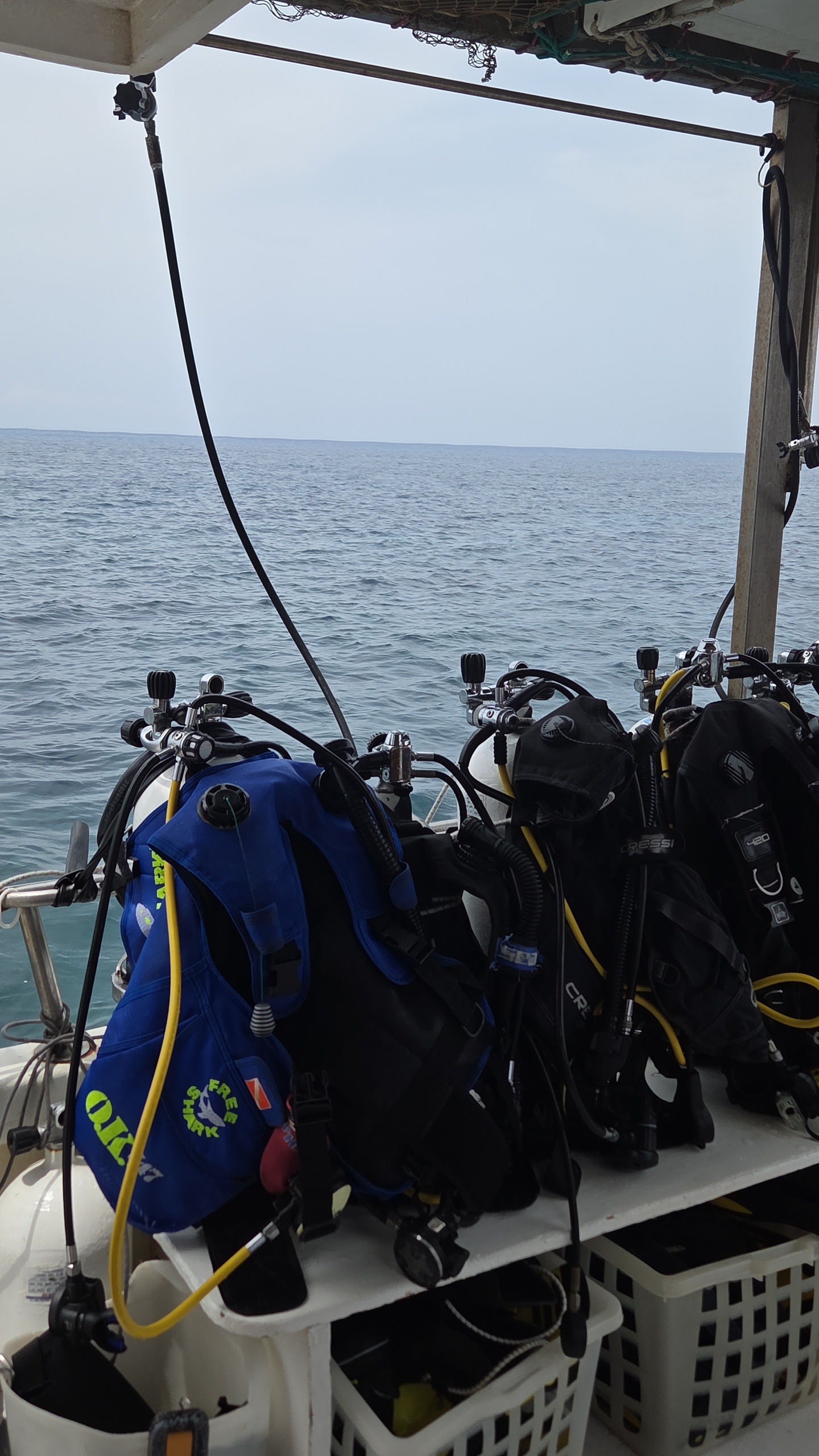 Scuba Diving Egadi Favignana