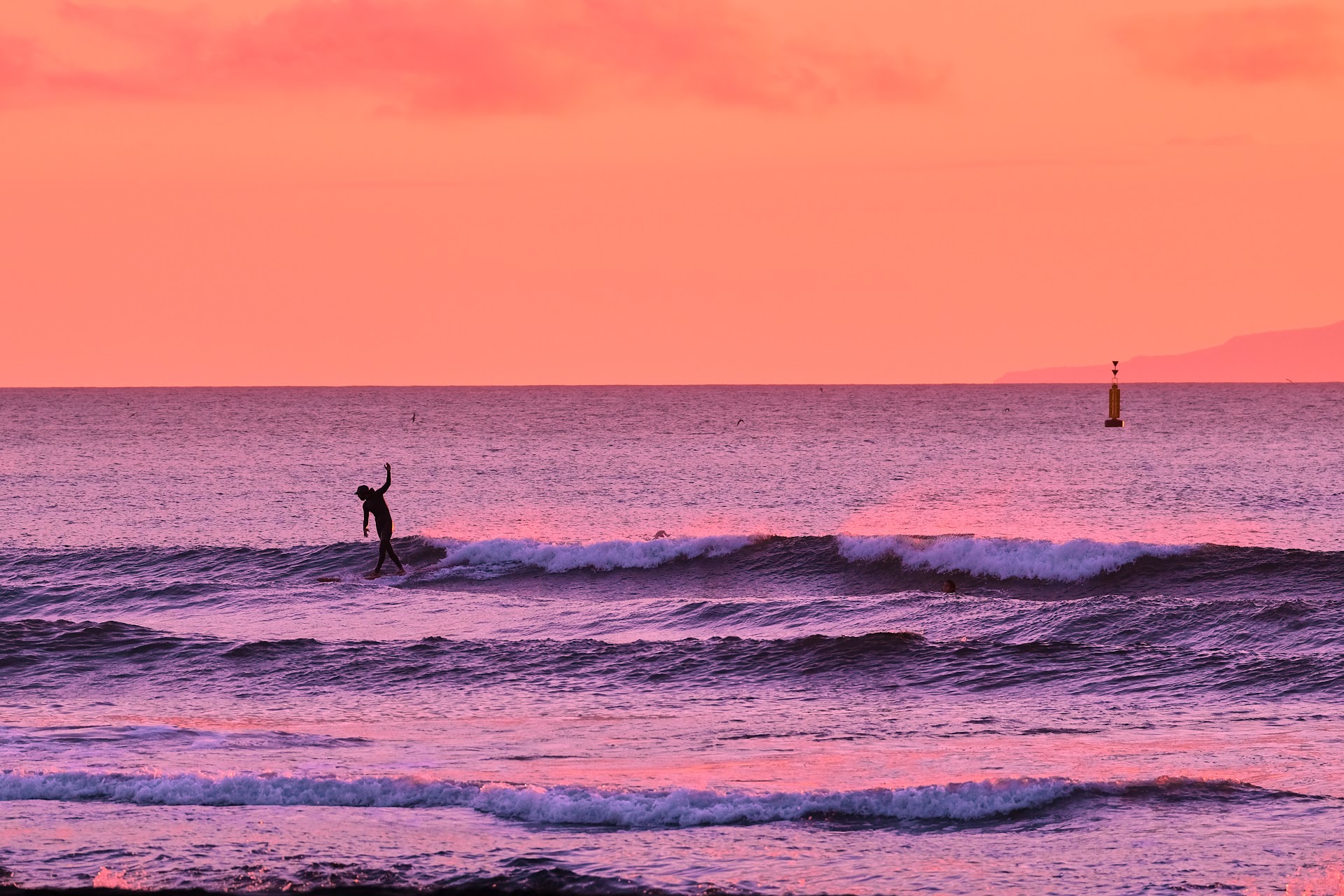 Ocean Fused Training