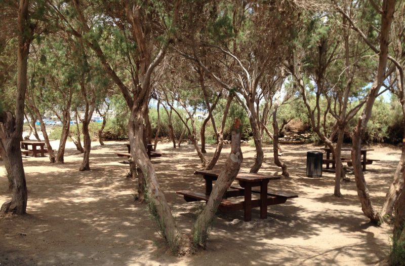 Asociación de Vecinos Bocinegro, El Medano Tapas & Actividades