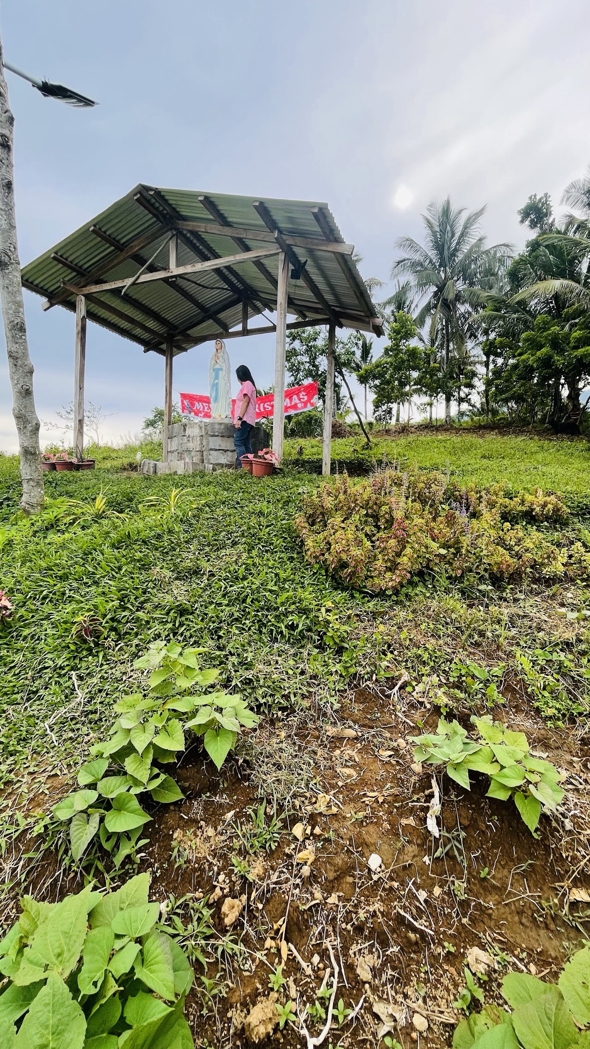 Rogelio Somobay Farm Garden