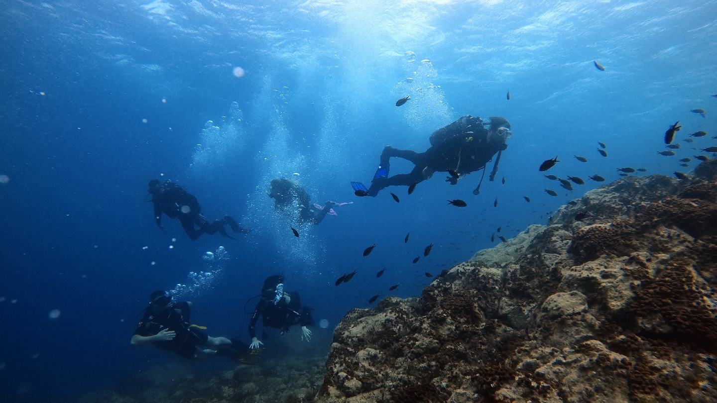 Aegina Divers