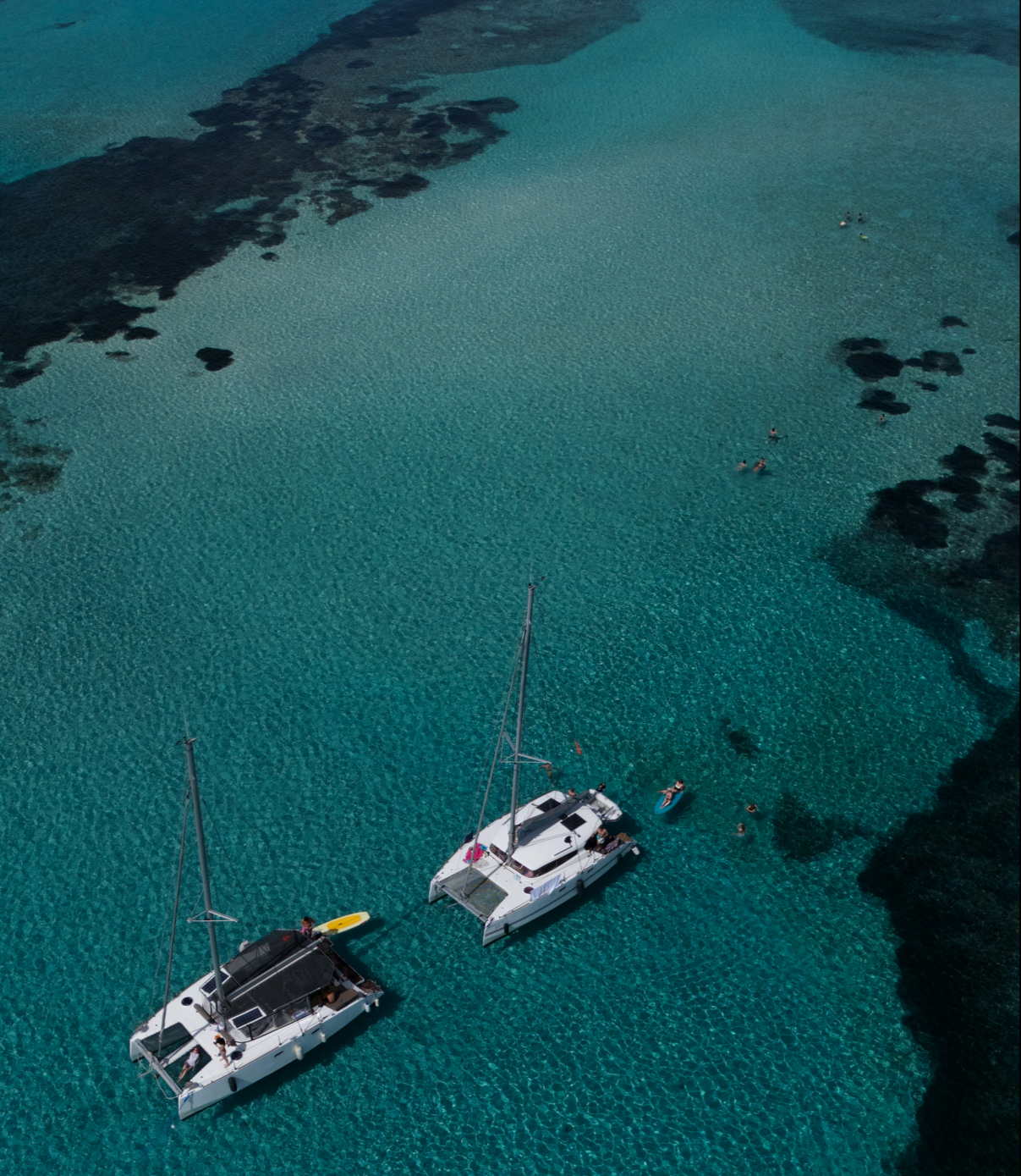 Asinara charter